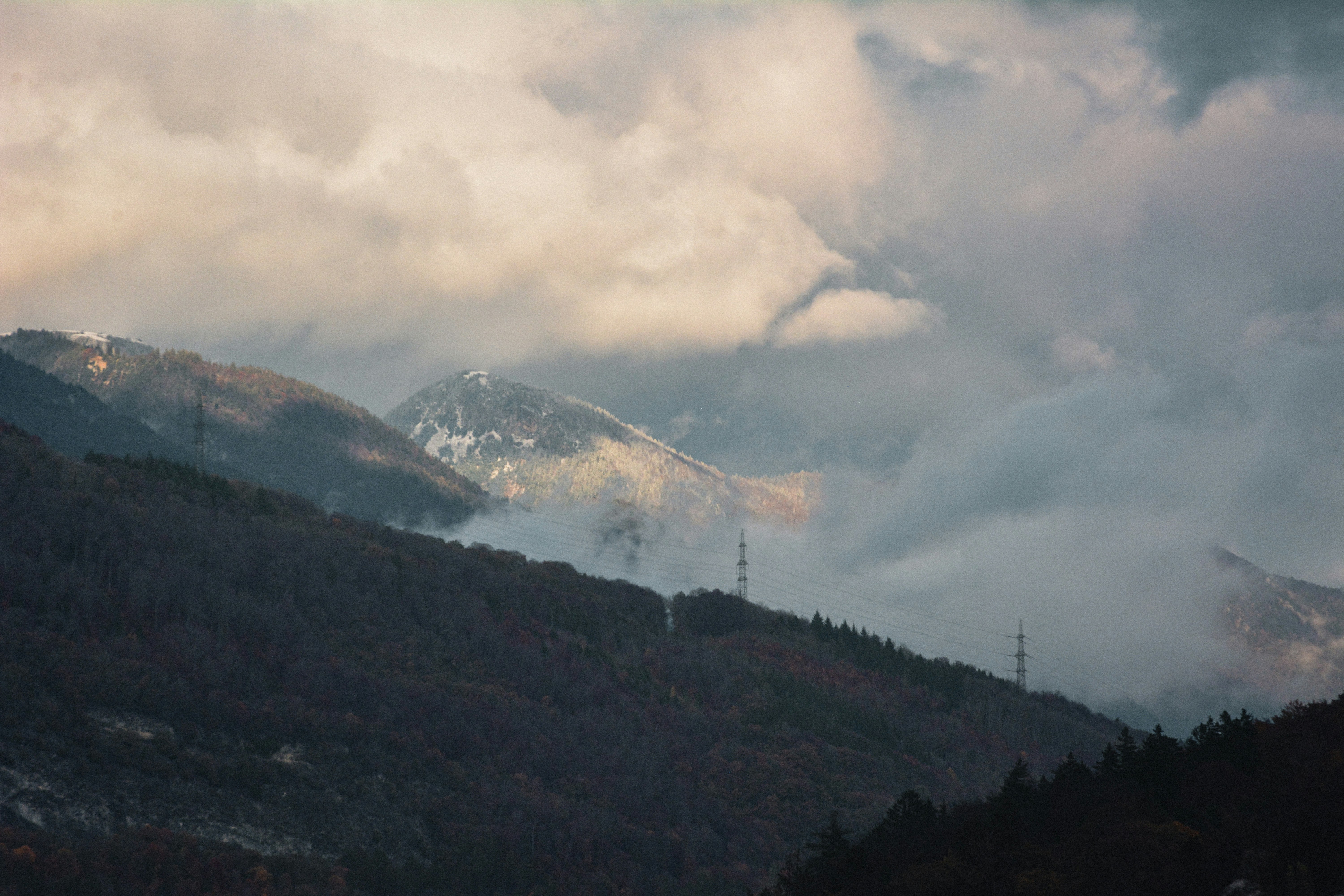 Photo by miguel_ind0