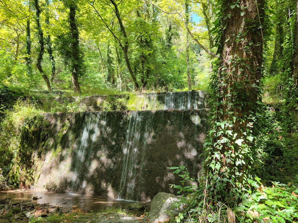 a waterfall in a forest