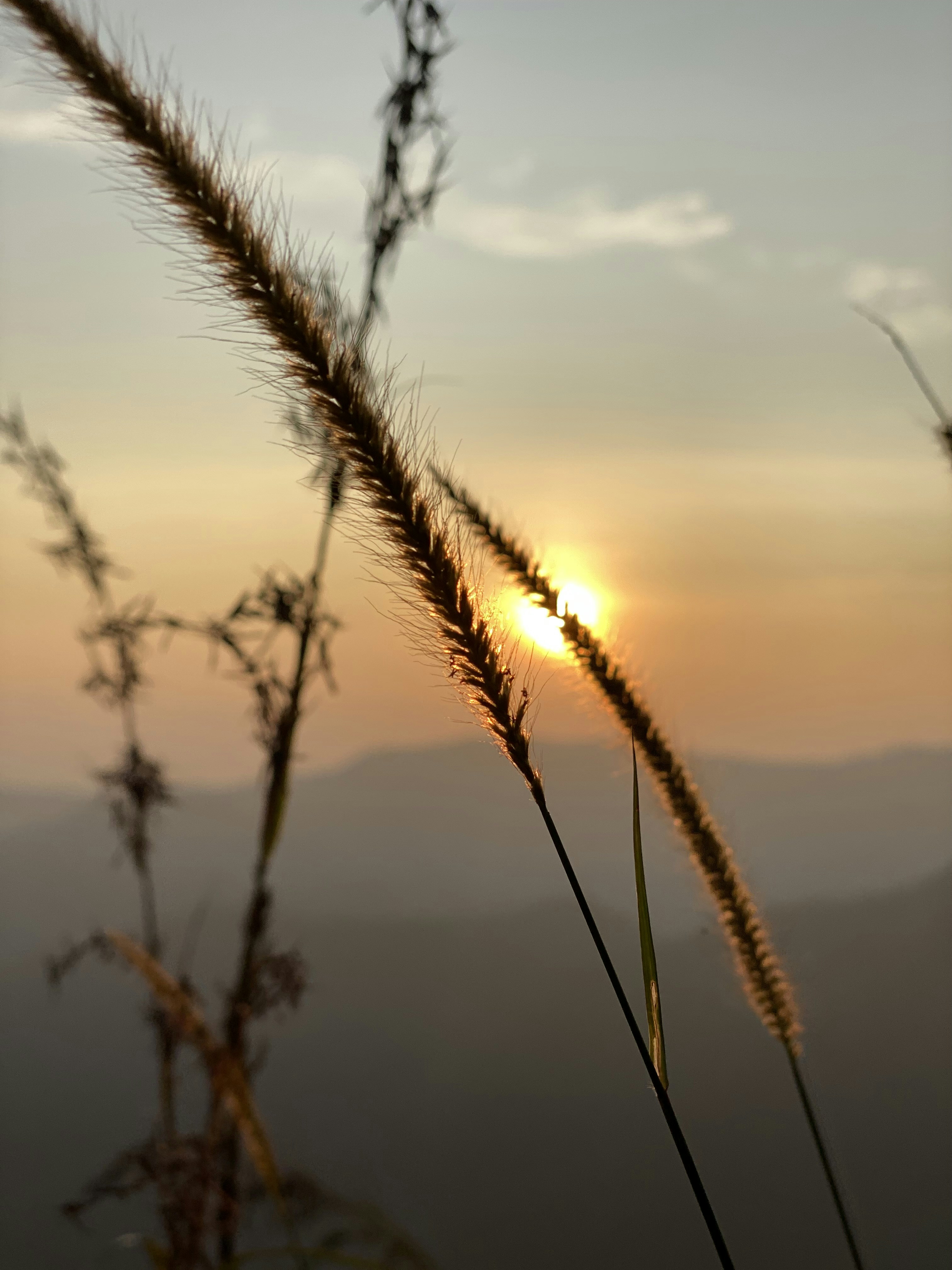 Photo by musing_photography