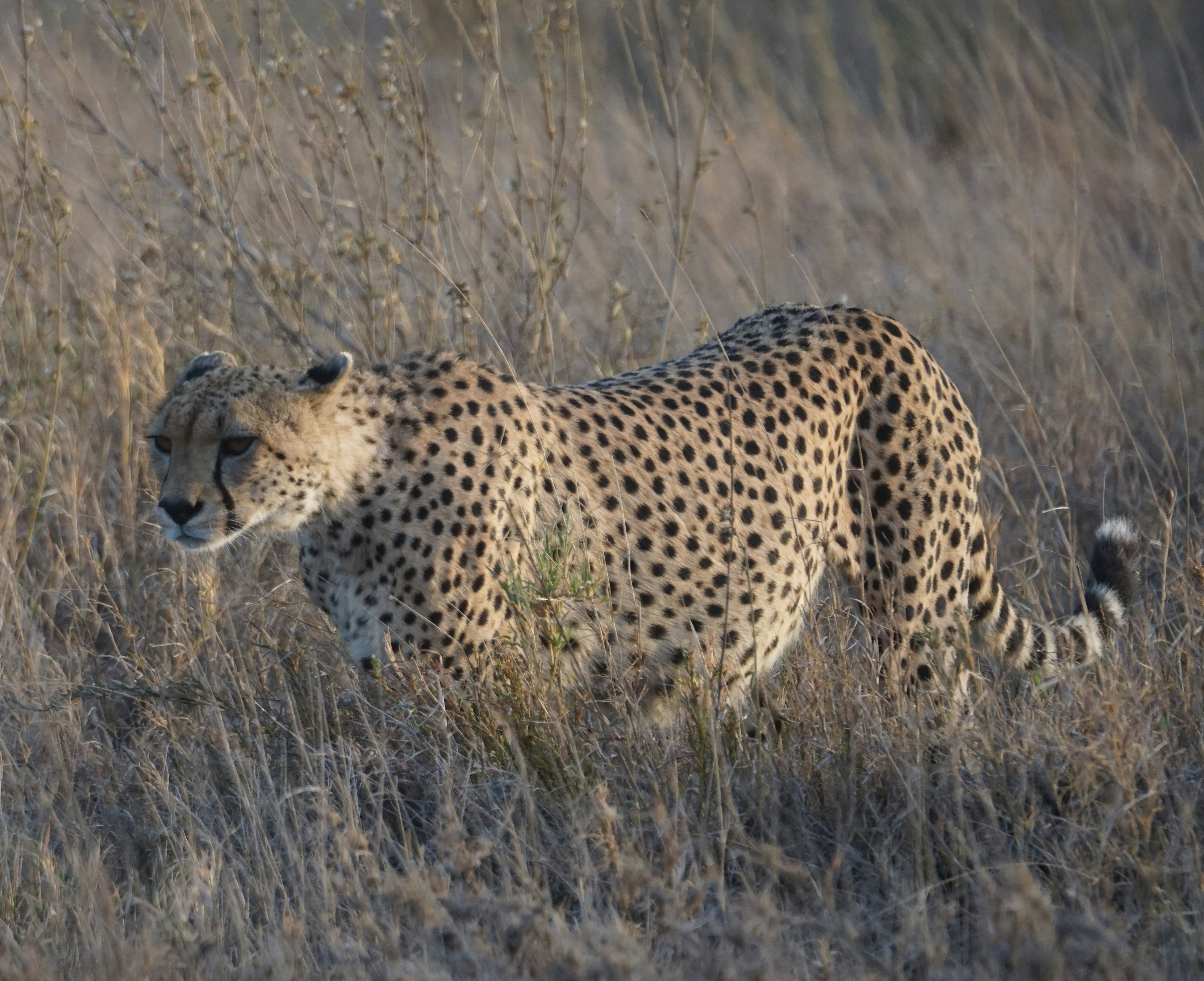 Choosing the Right Home (image credits: unsplash)