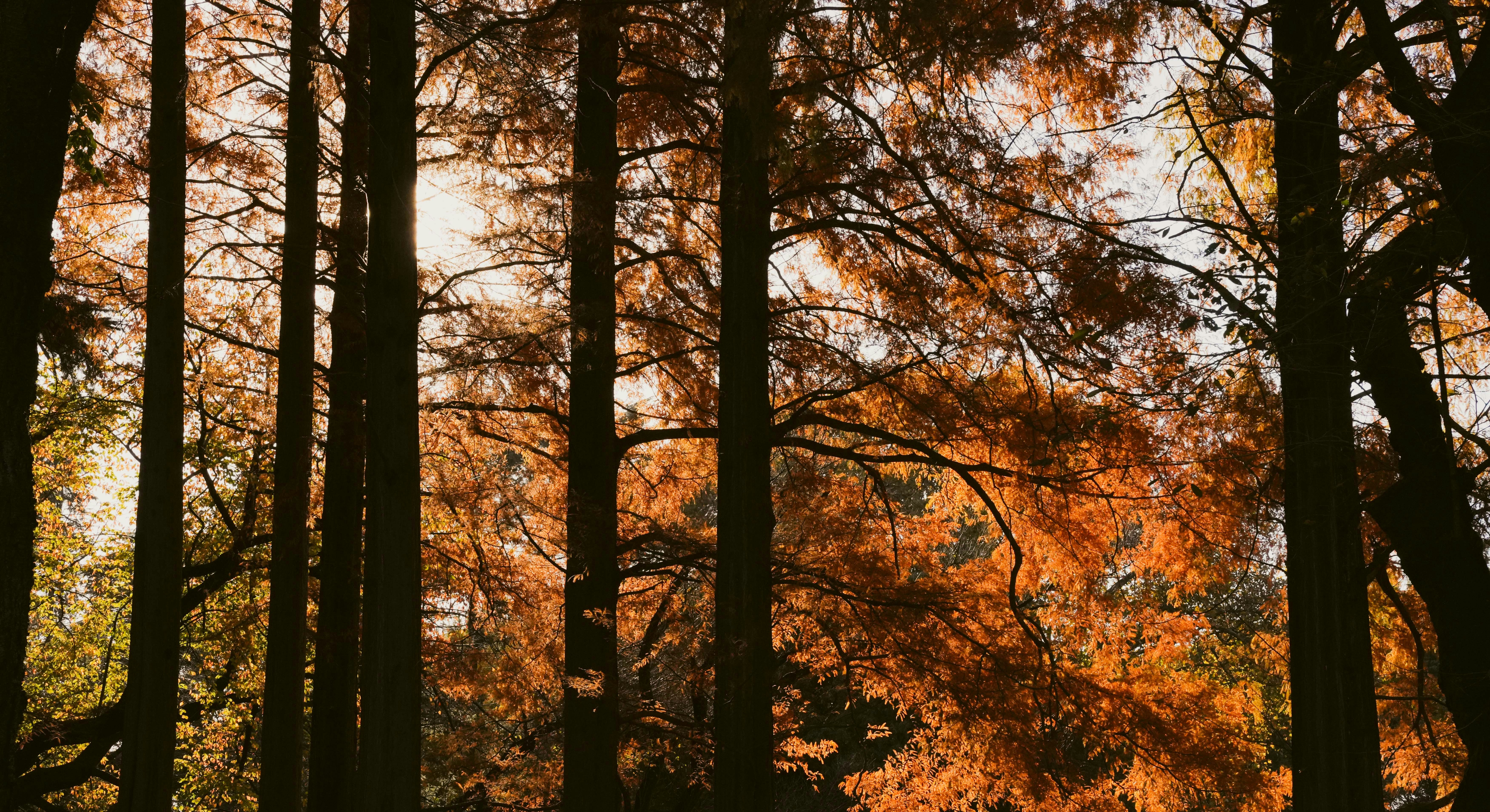 Photo by cosmonaut647