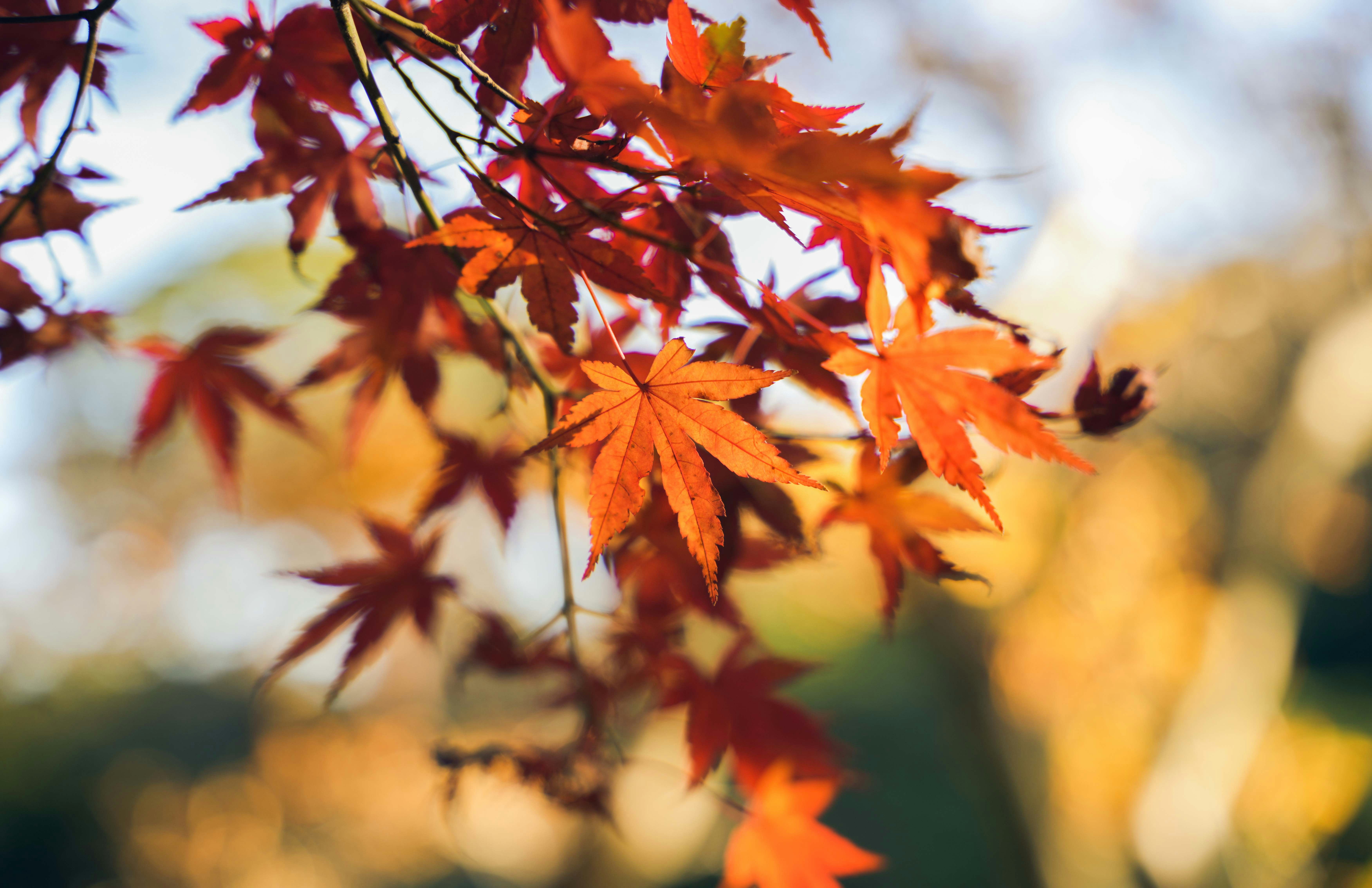 Photo by cosmonaut647