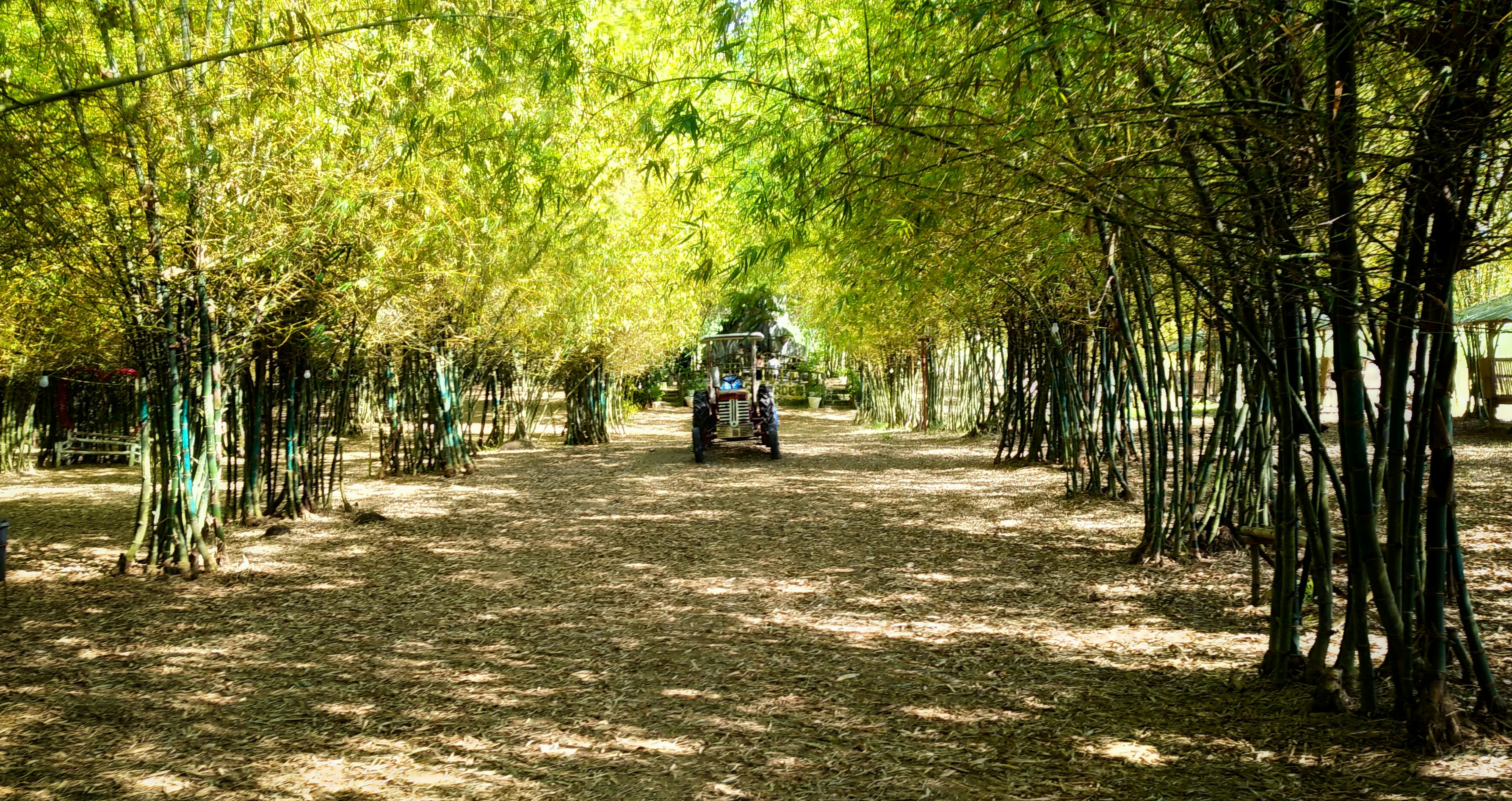 a tractor on a dirt road