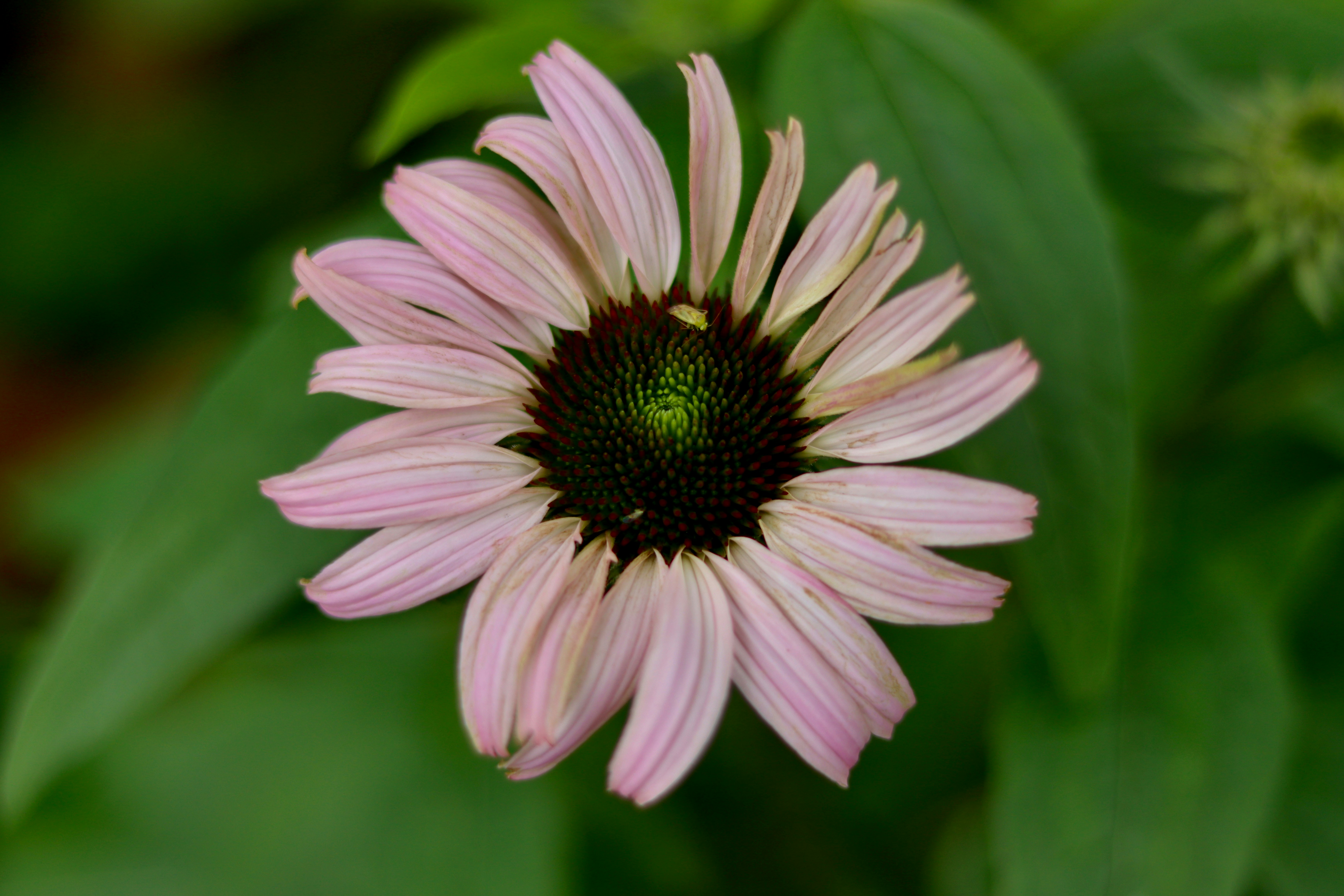 Photo by exploringzhongguo