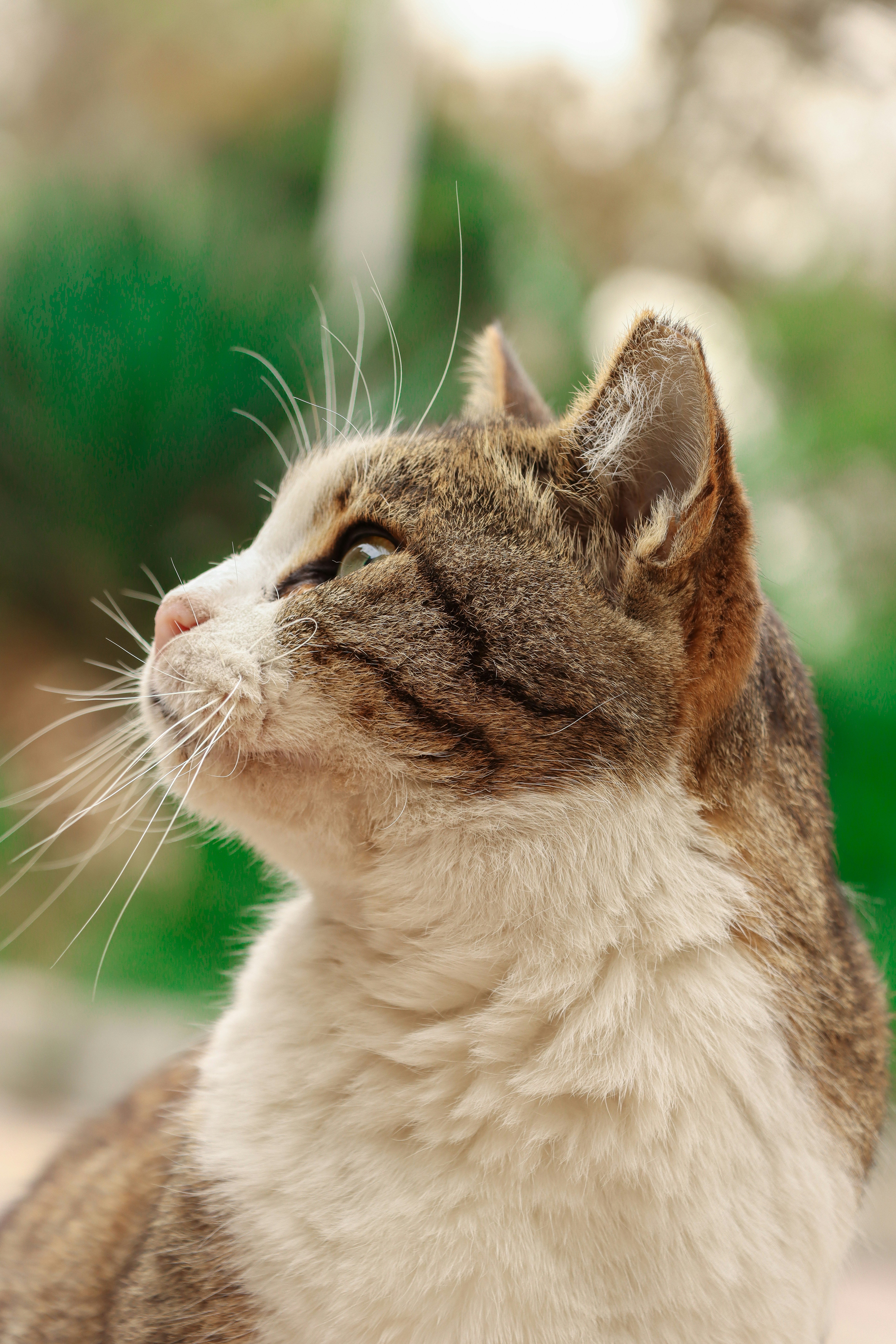 Photo by smohammadmeshkat