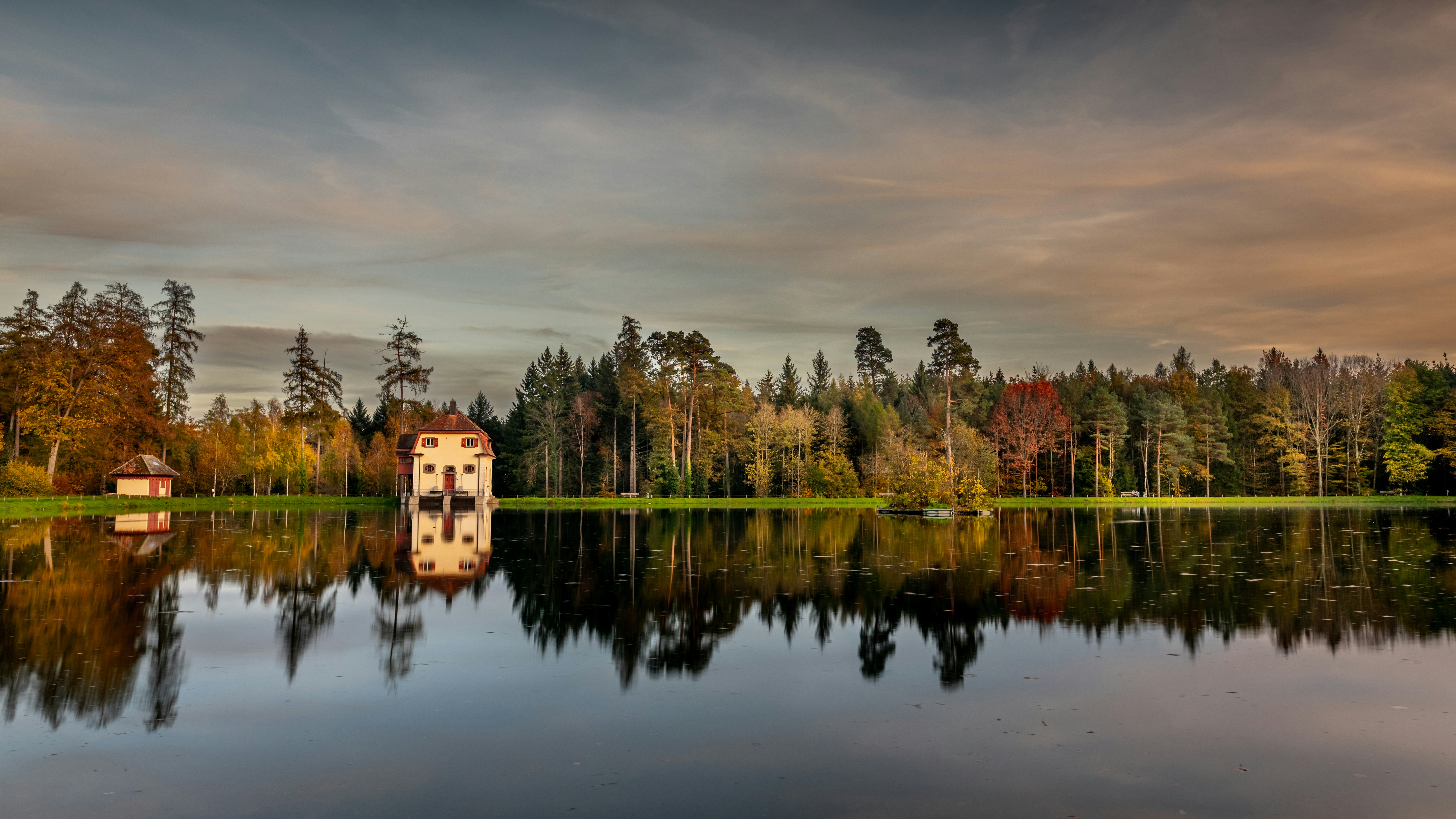 a body of water with trees around it
