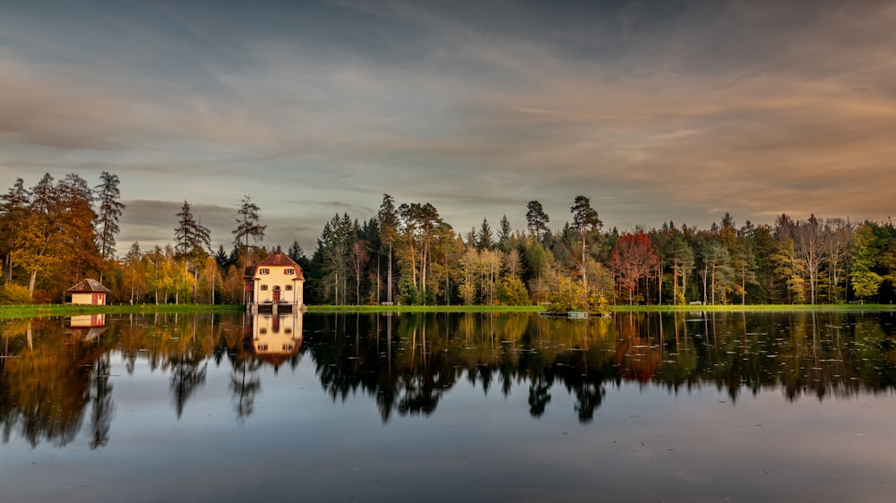 a body of water with trees around it