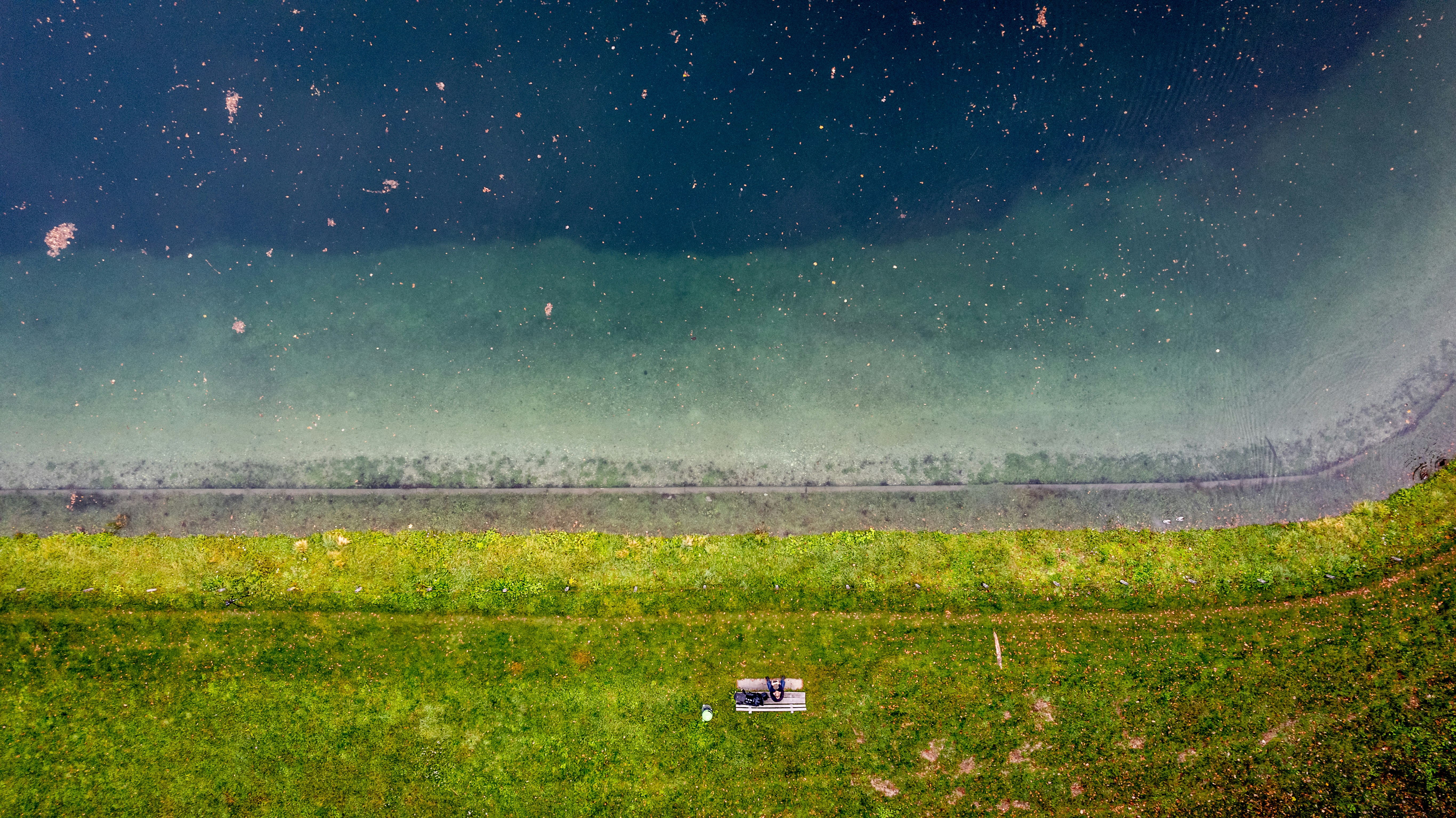 a field of grass with a fence and a field in the background