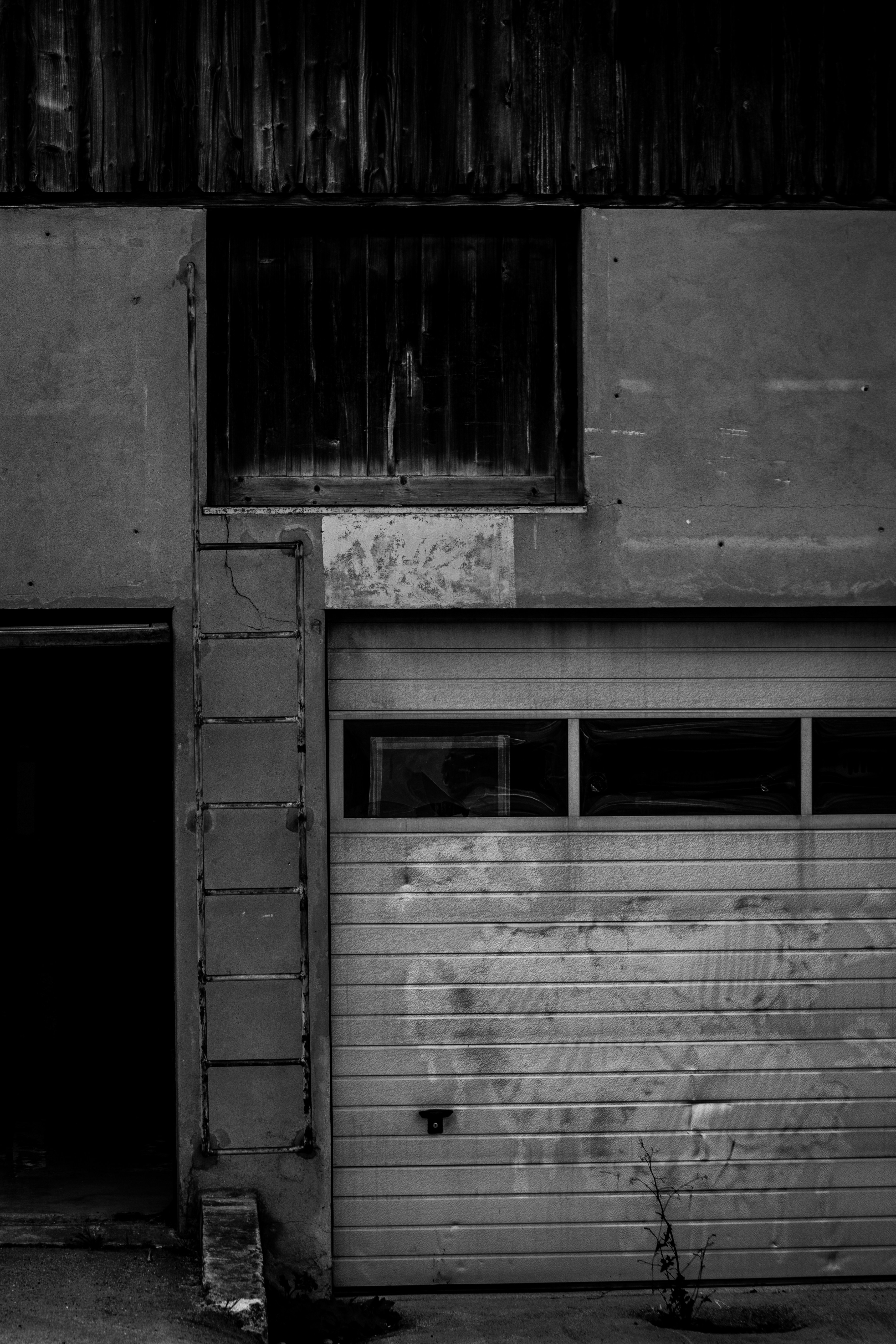 Photo by leoricciopro