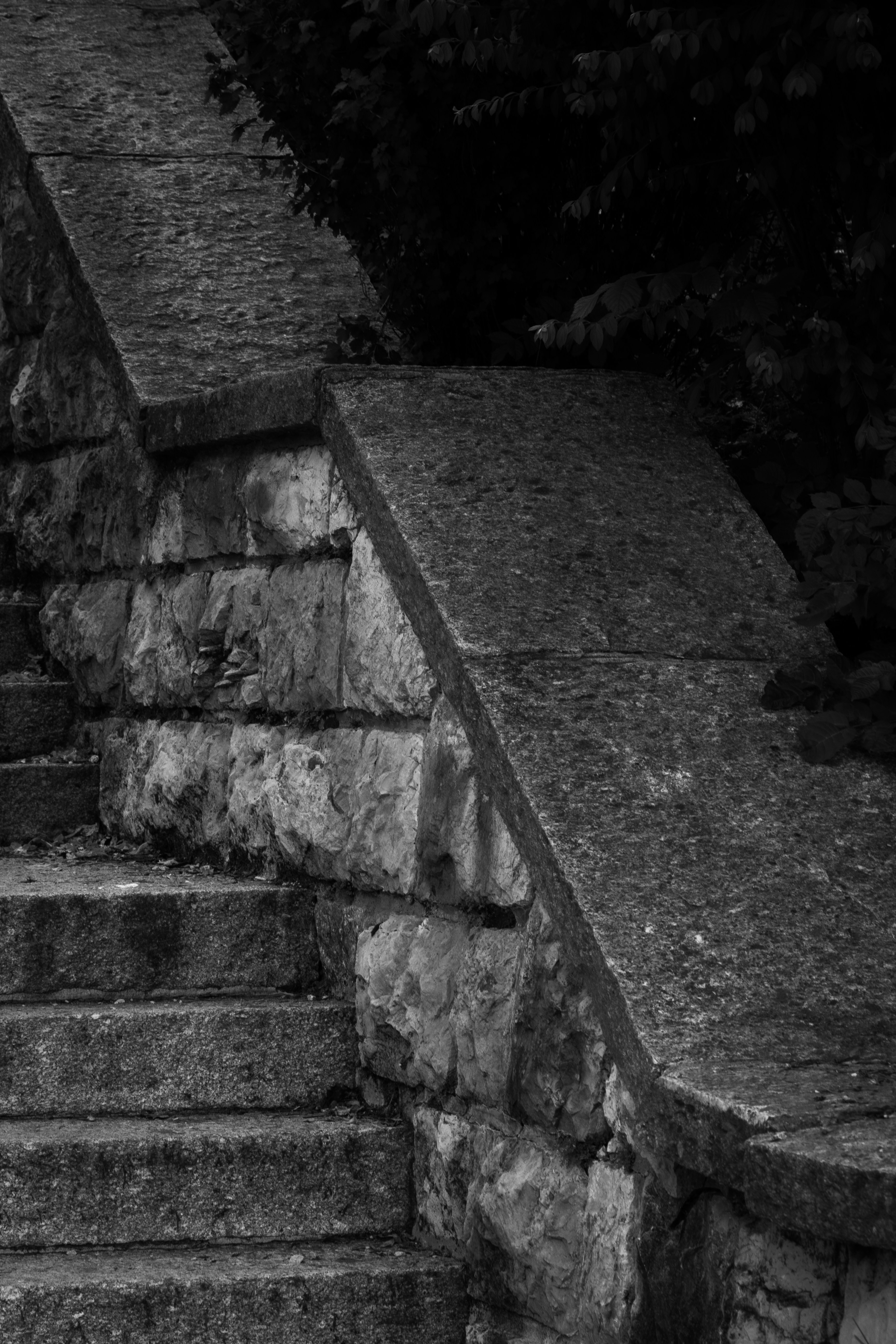 Photo by leoricciopro