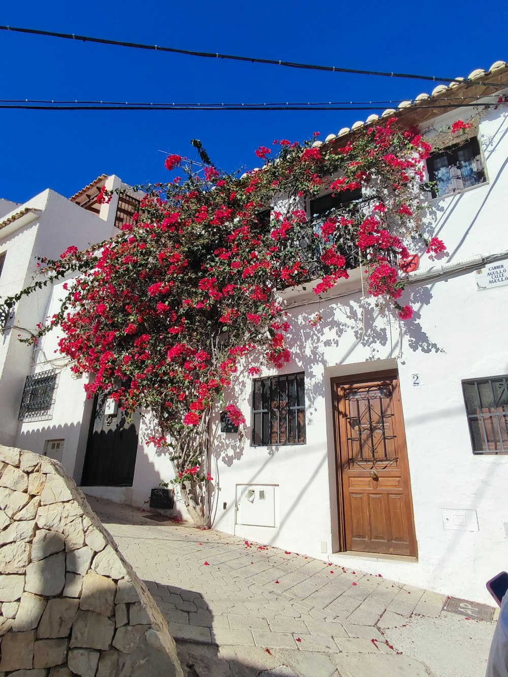 a tree with pink flowers