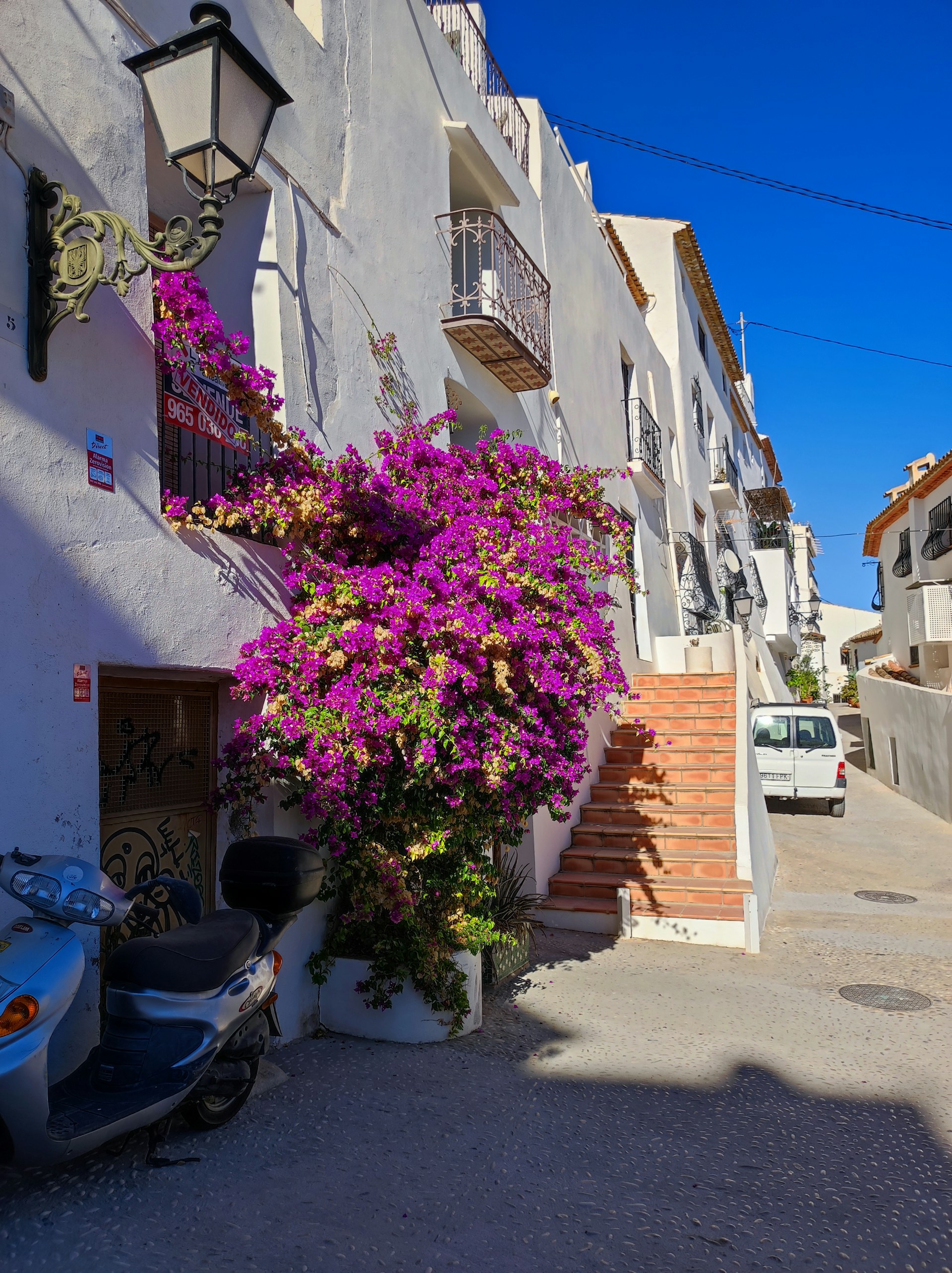 a tree with flowers on it