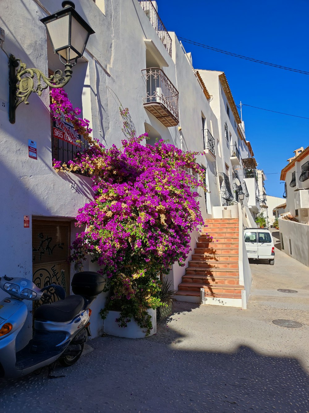 un arbre avec des fleurs dessus