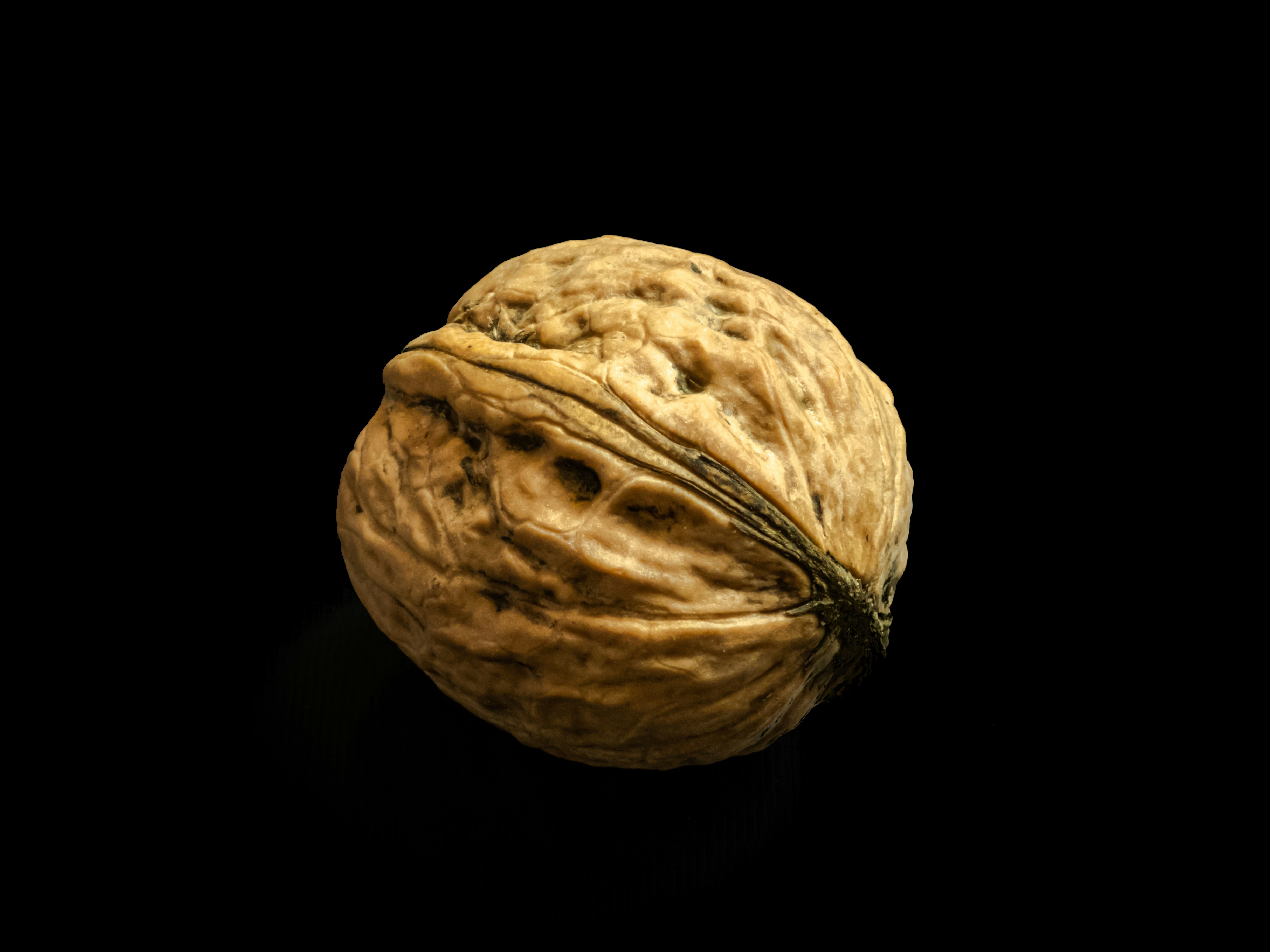 植物笔记——核桃