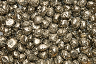 a pile of coins