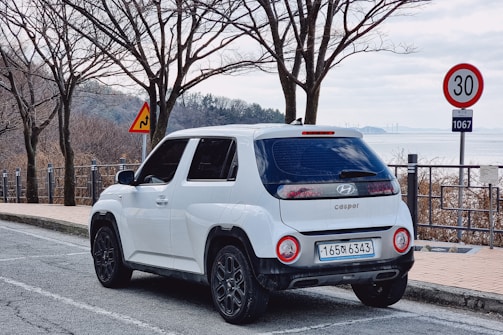 A calm instructor giving last-minute tips during a mock driving test in Glenorchy.