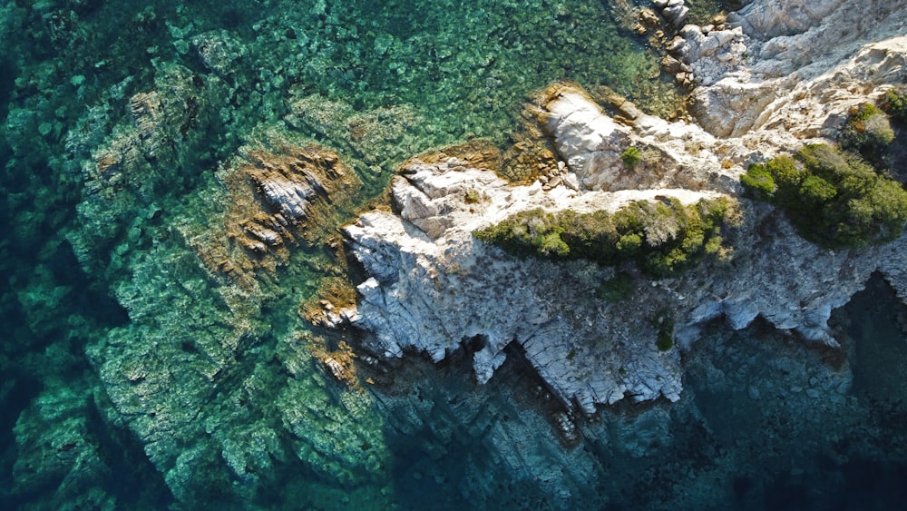 a group of rocks with moss on them