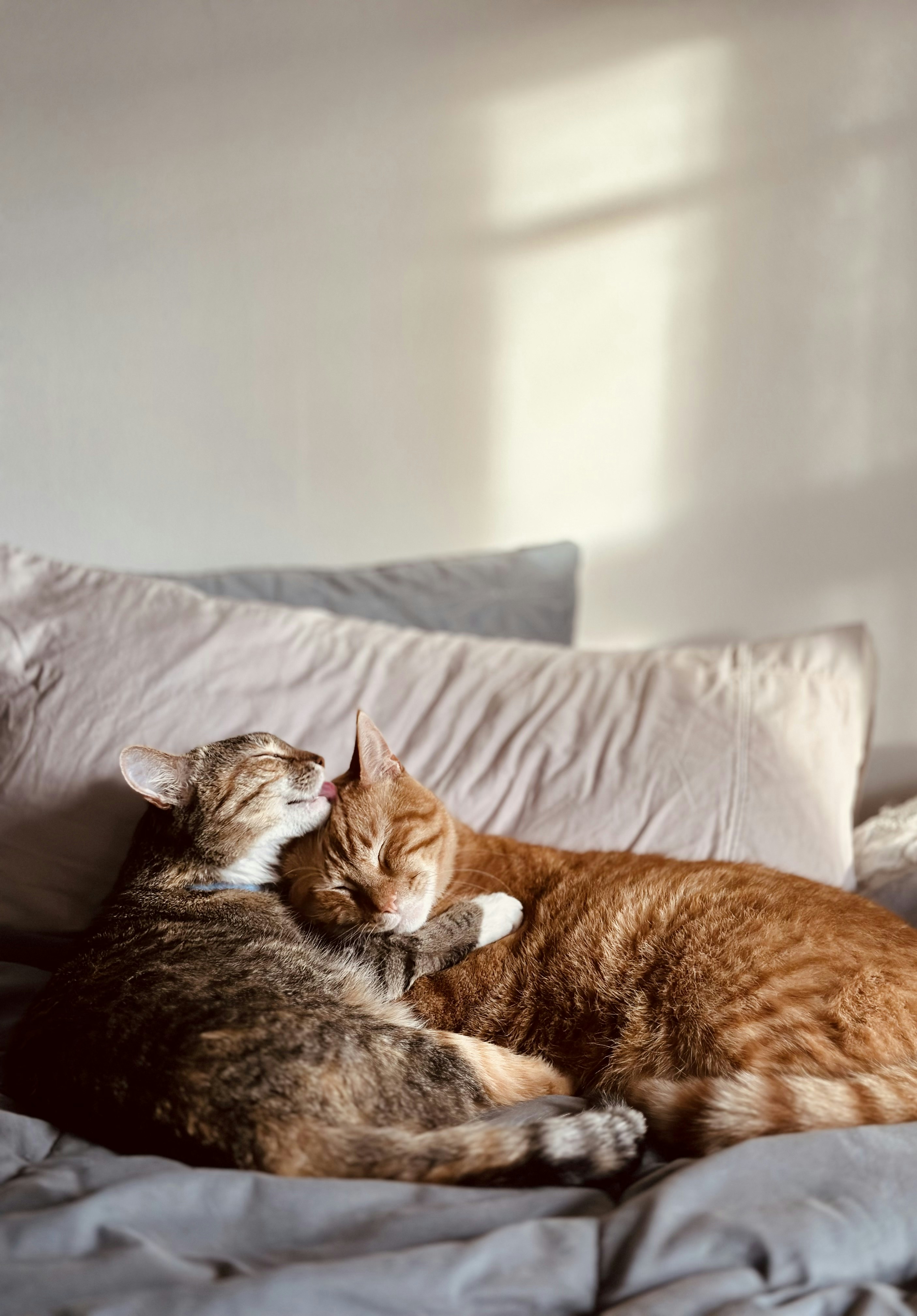 The Joy of Shared Spaces (image credits: unsplash)