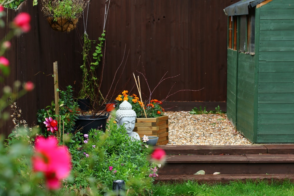 a garden with flowers