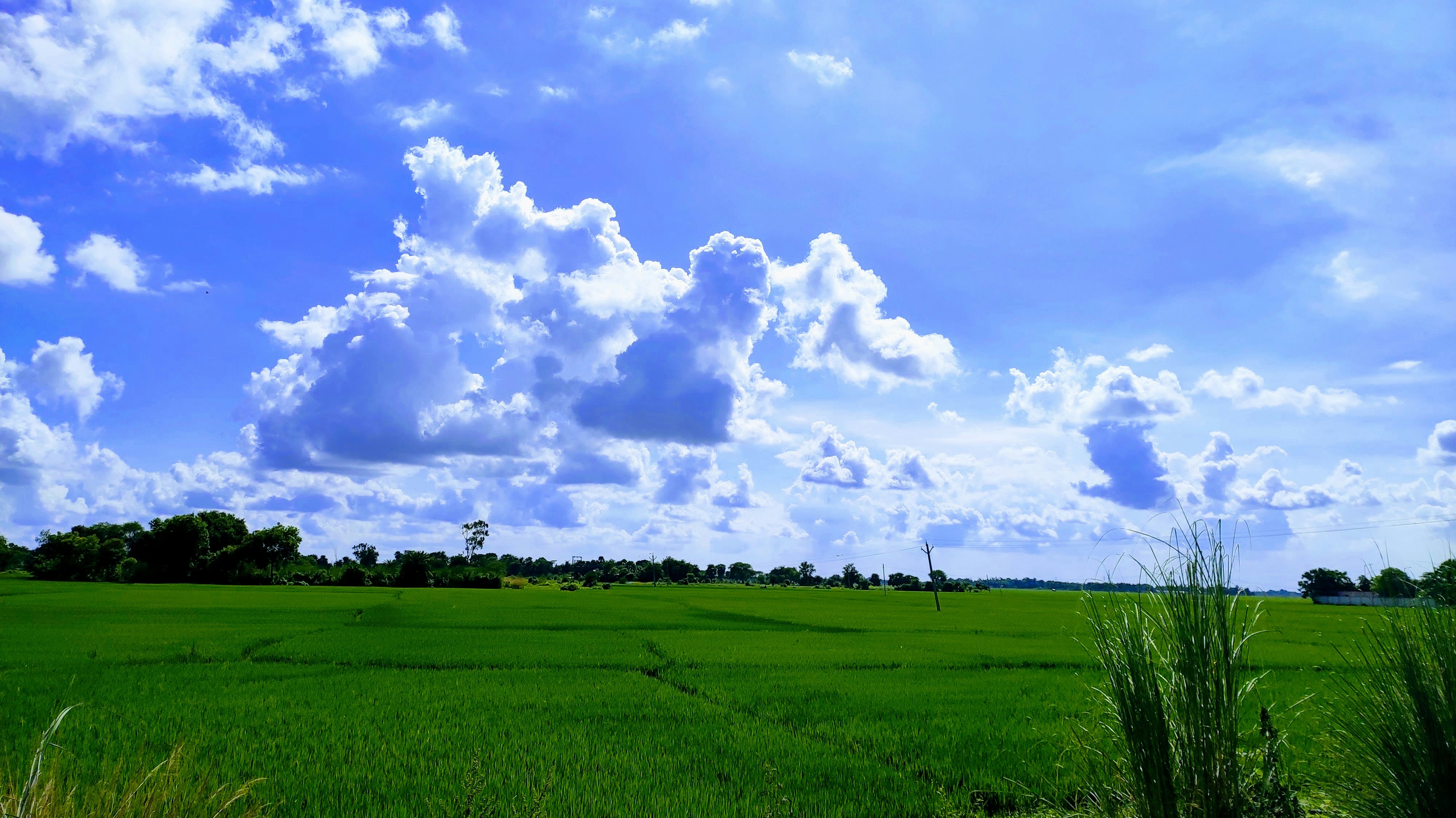 Photo by iamjayantag