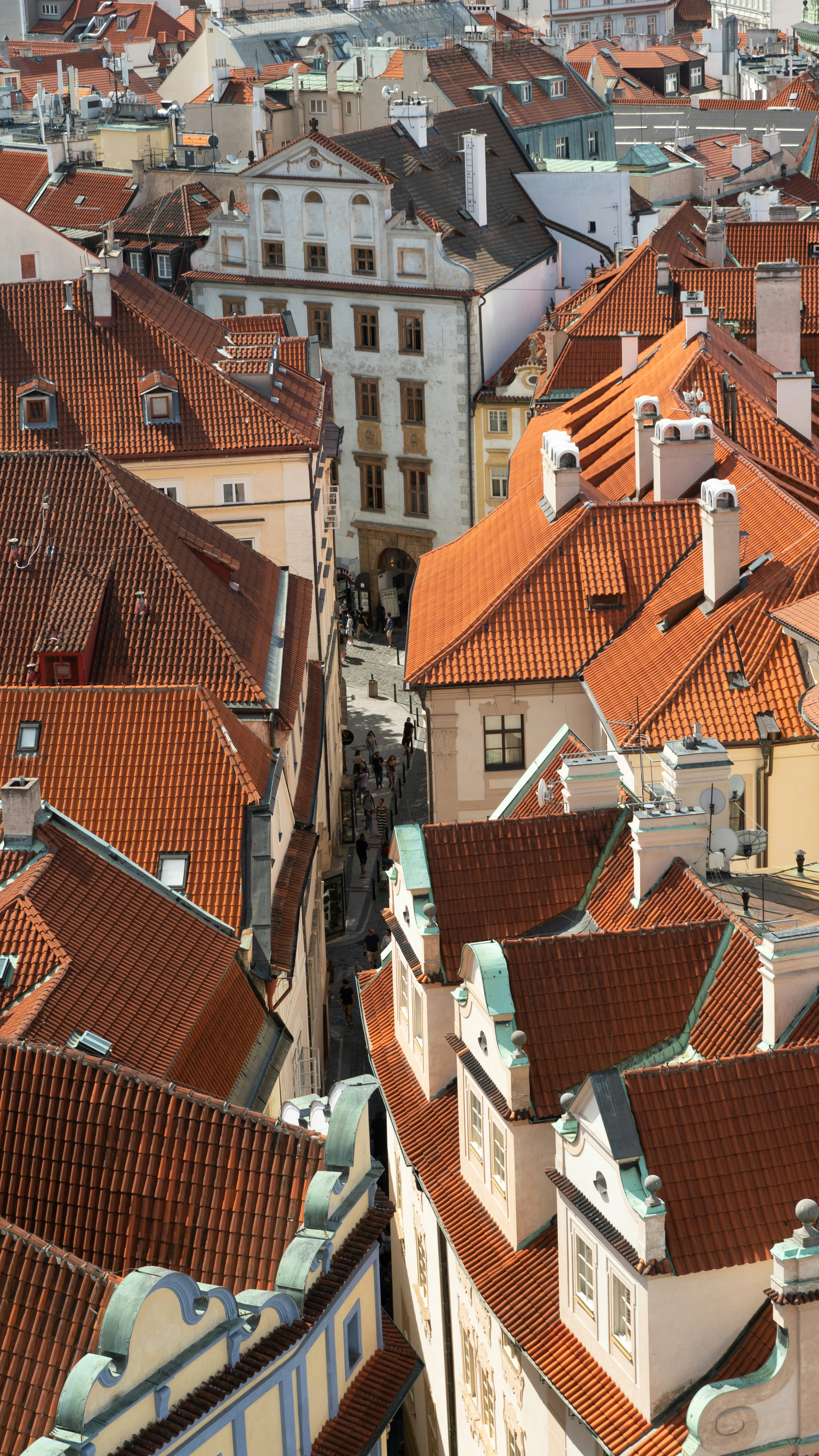 Photo by kotzo_photo