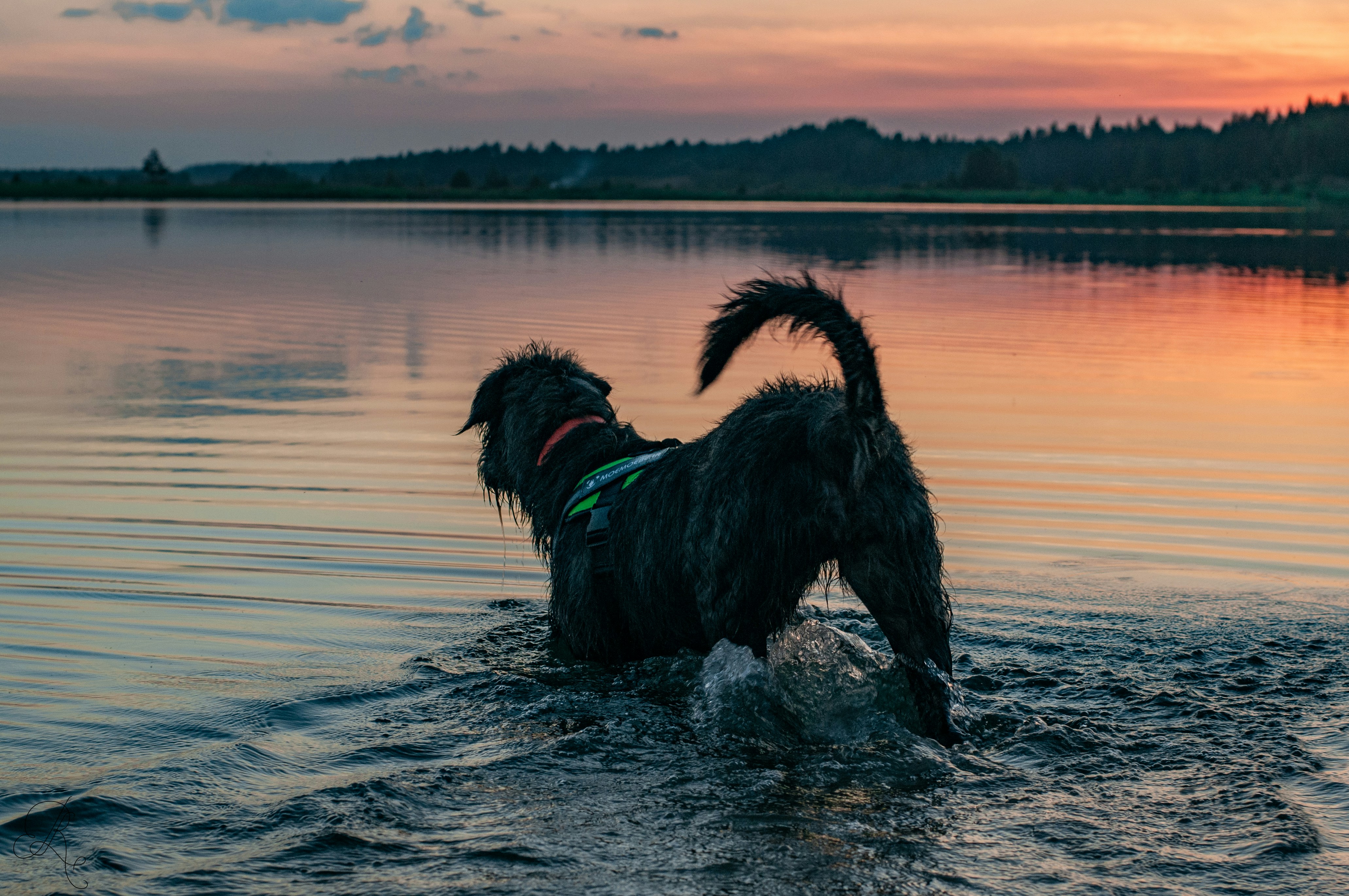 Photo by nataliaraylenegusakova
