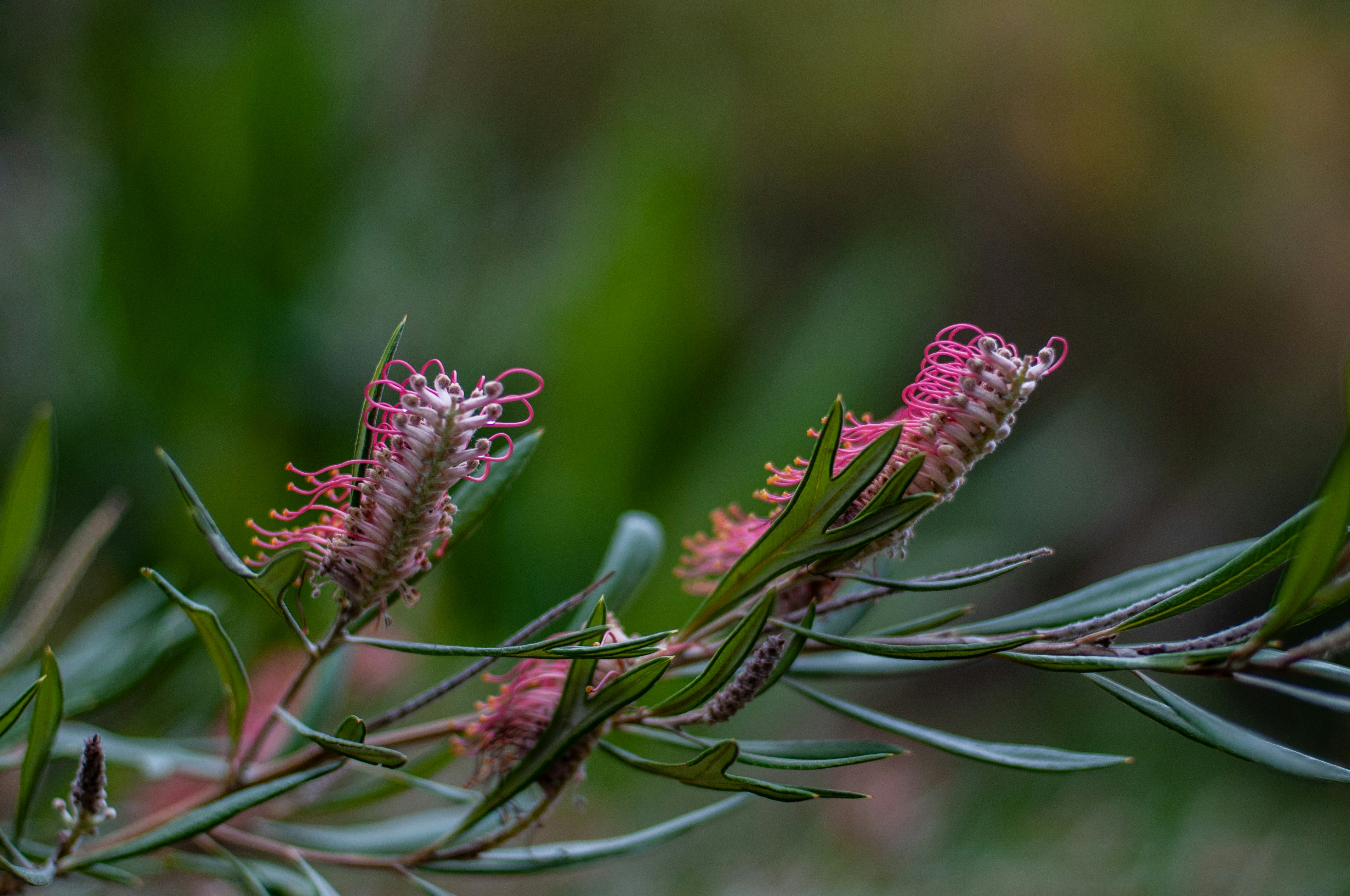 Photo by nataliaraylenegusakova