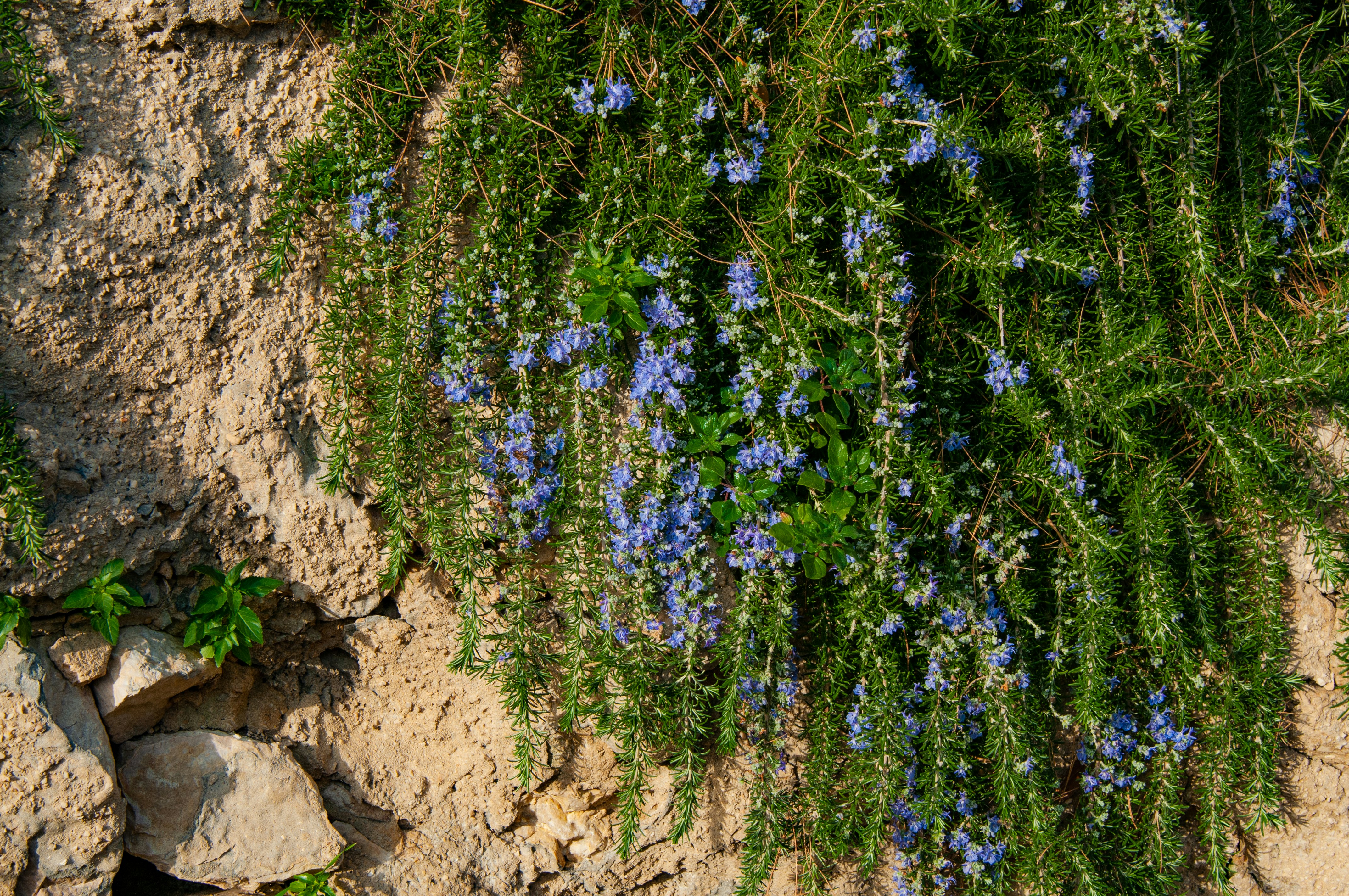 Photo by nataliaraylenegusakova