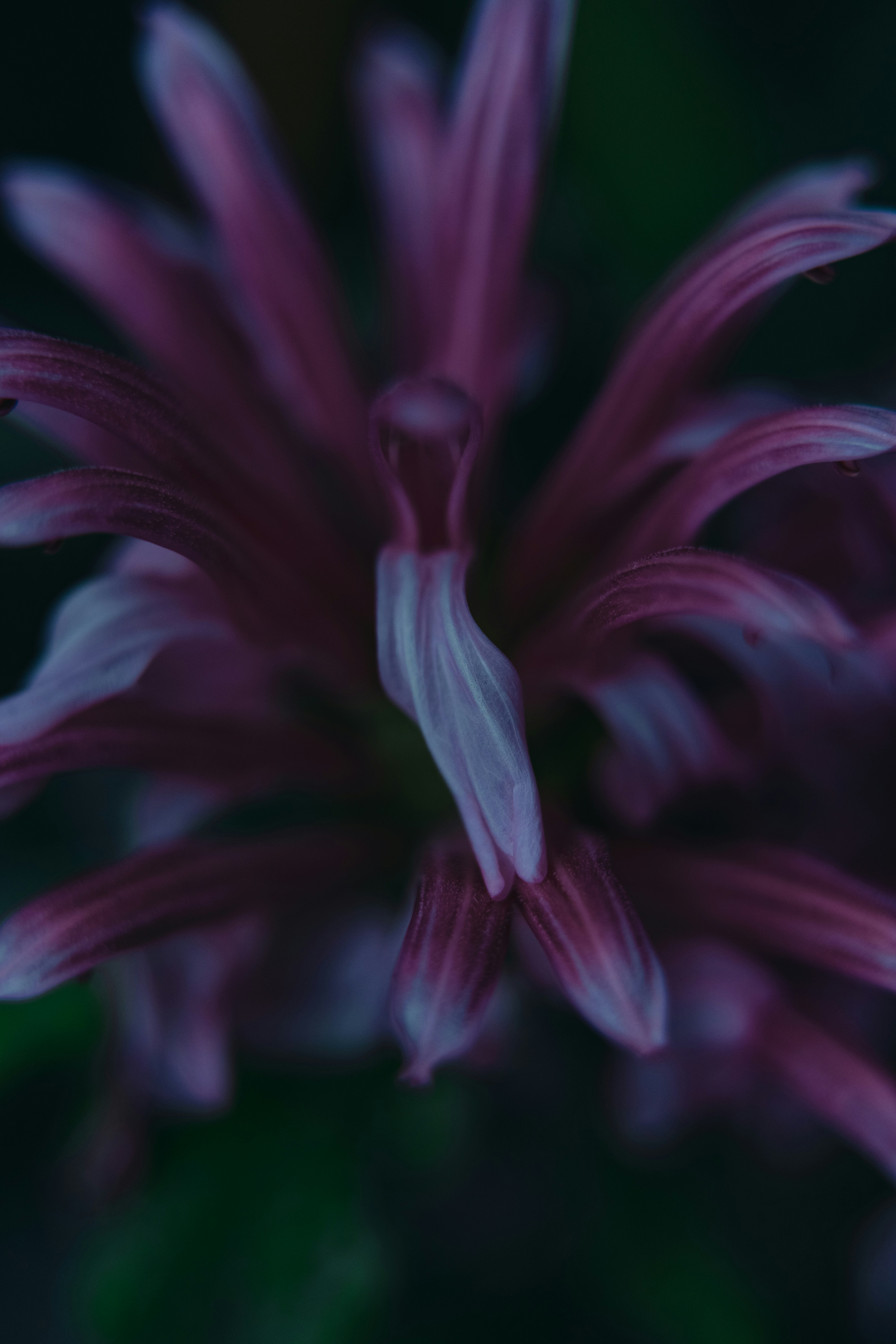 Photo by anamnesis33