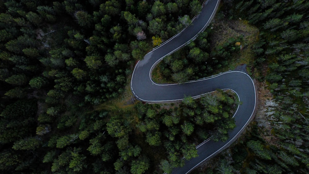 Un camino sinuoso a través de un bosque