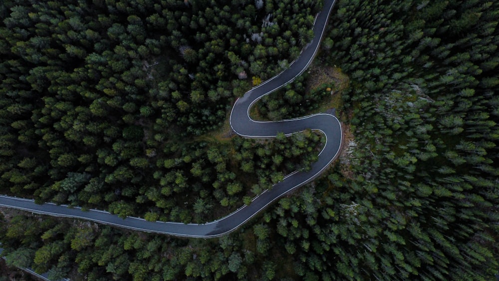 a winding road through a forest