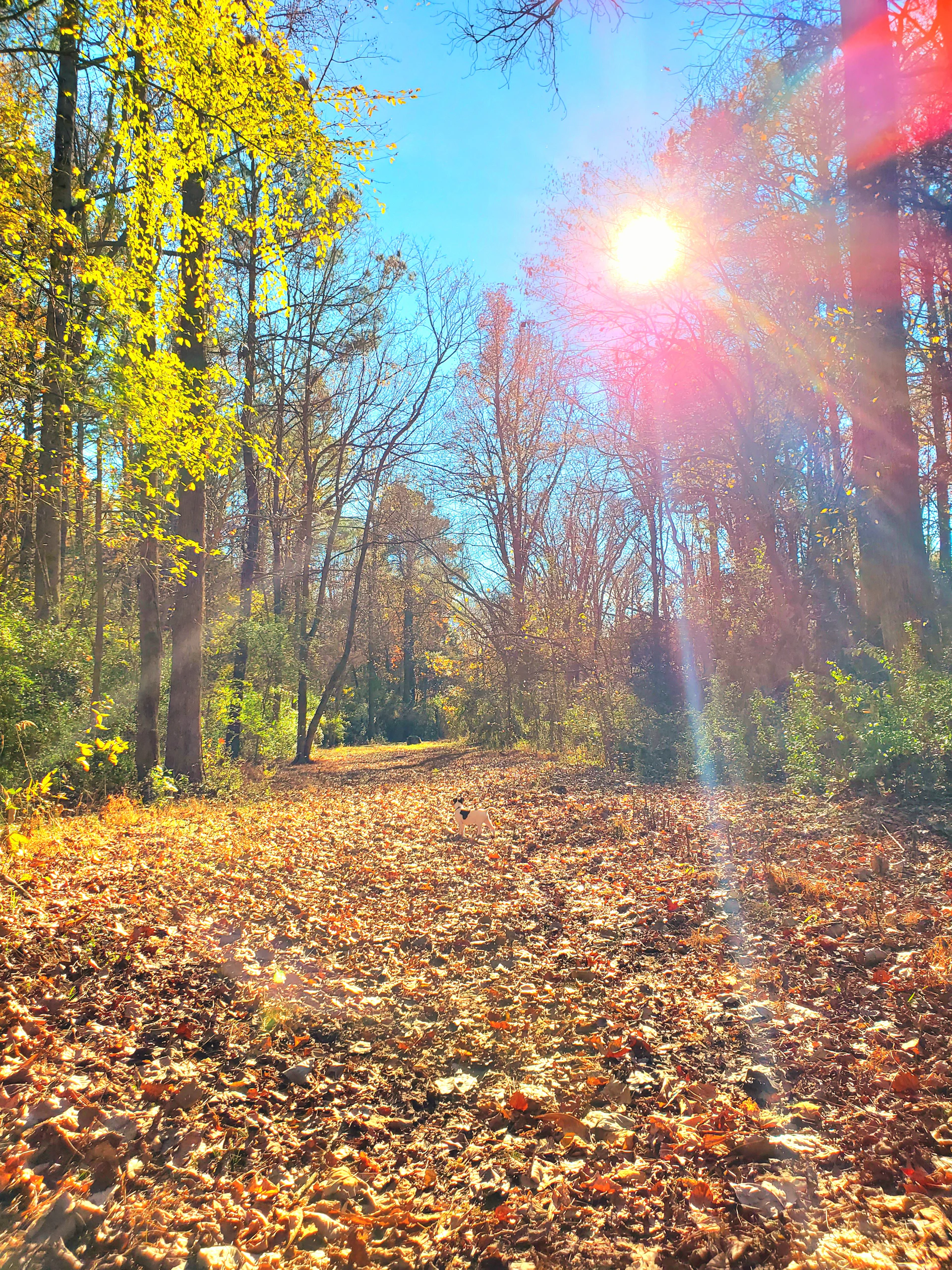woman wearing yellow long-sleeved dress under white clouds and blue sky during daytime