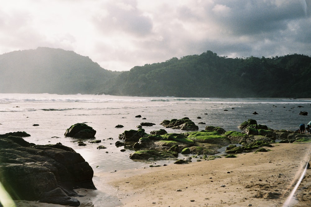 a rocky beach with a body of water and mountains in the background