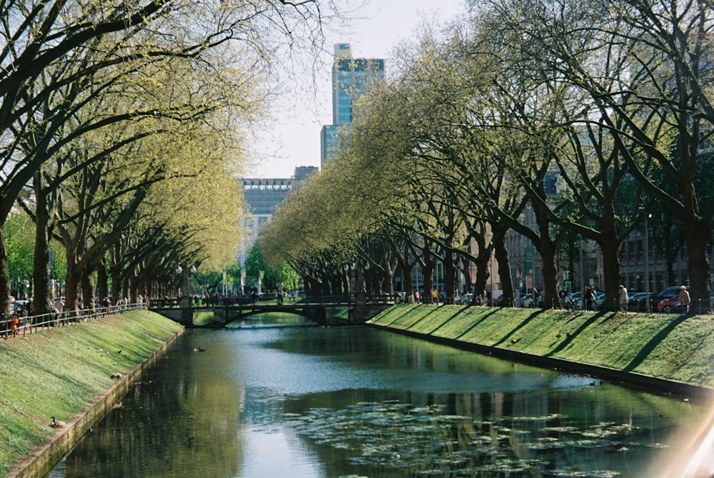 a body of water with trees and buildings around it