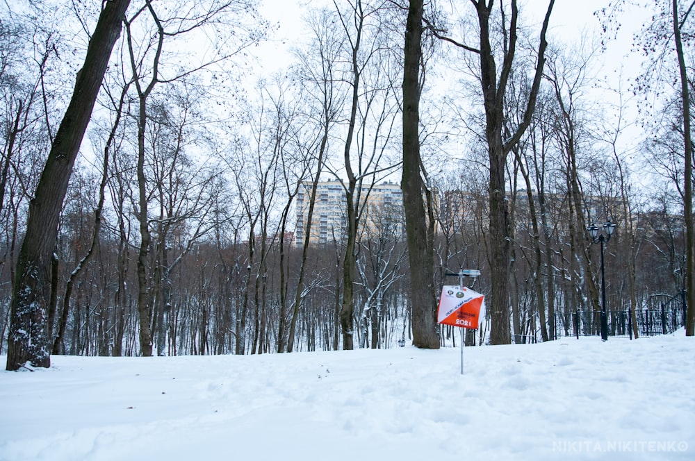 a flag in the snow