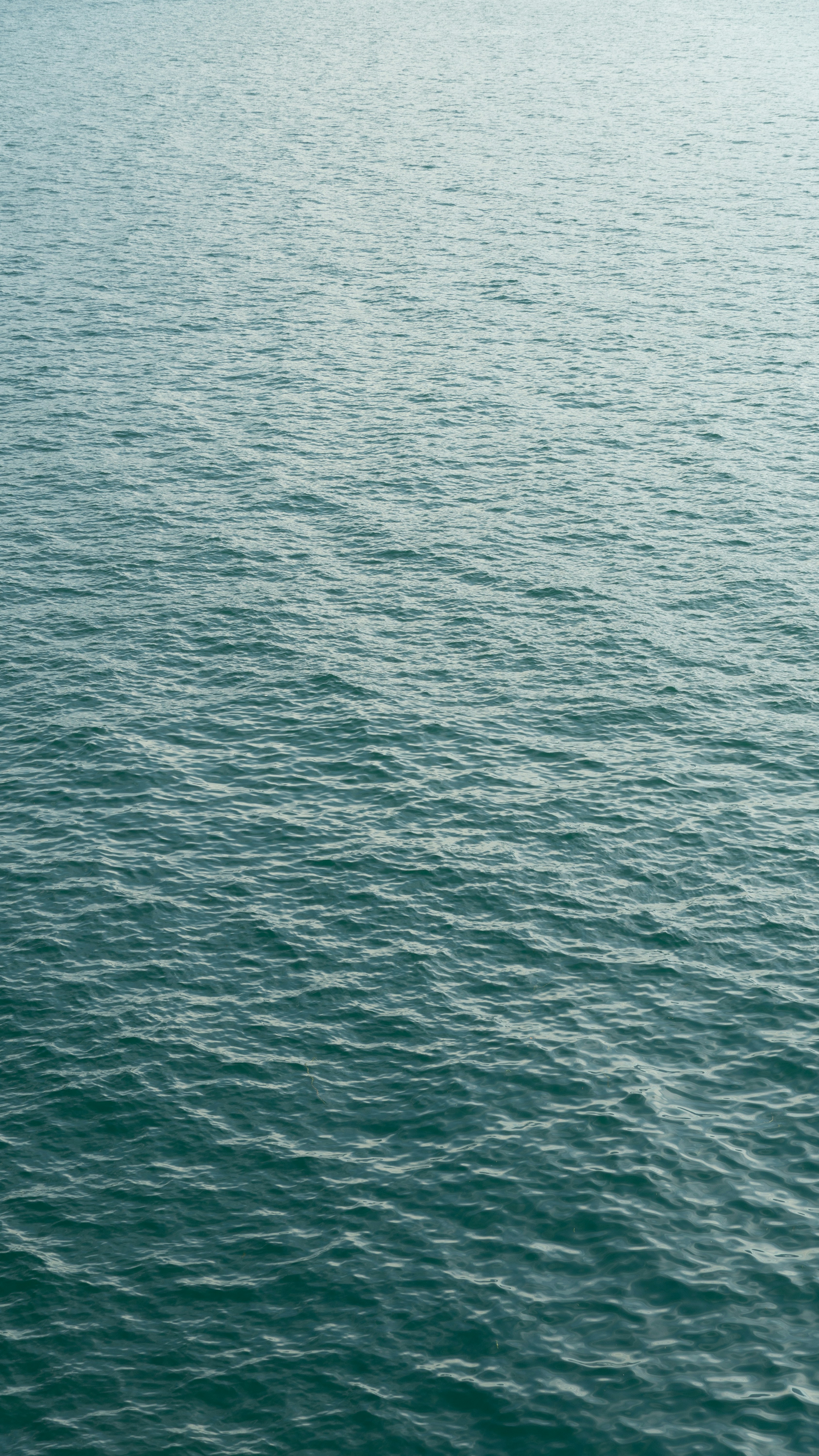 Photo by kotzo_photo