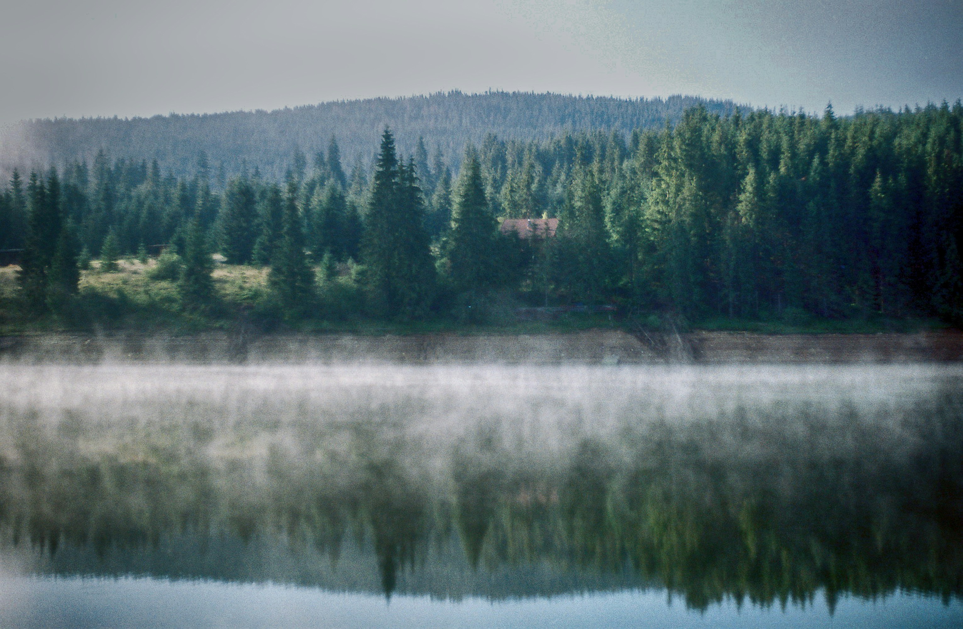 Photo by balu_gaspar