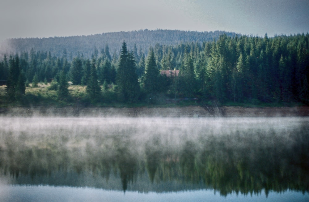 a lake with trees and a house in the background