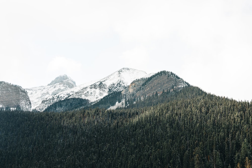 a snowy mountain range