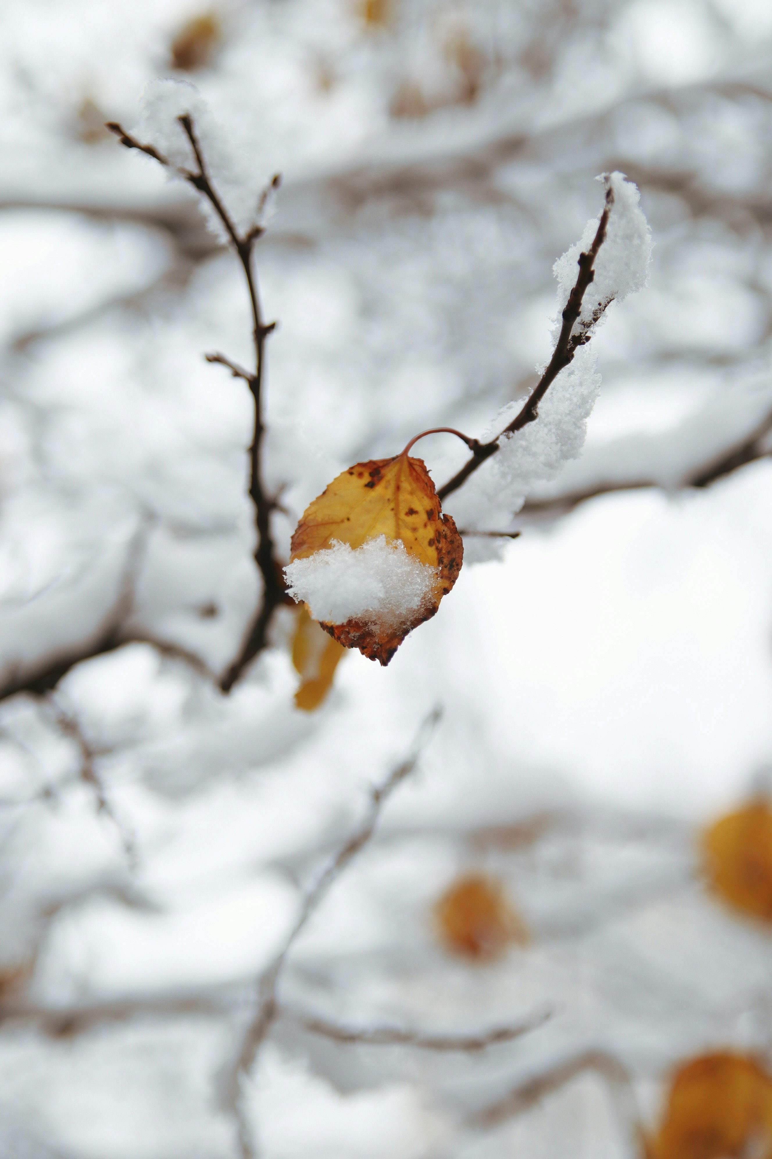 Photo by feeling_hope