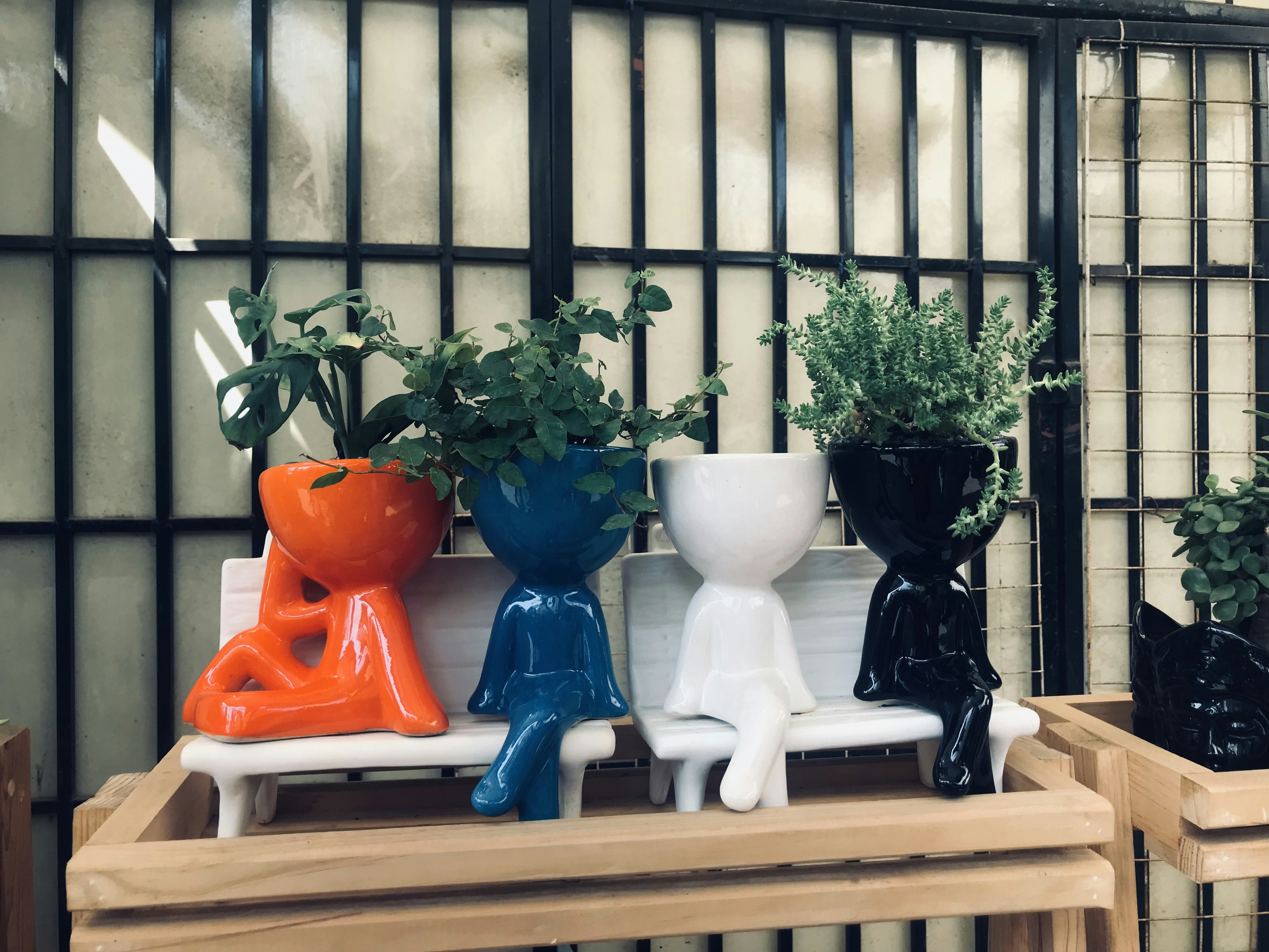 a group of vases sit on a table, Macetas de Xochimilco