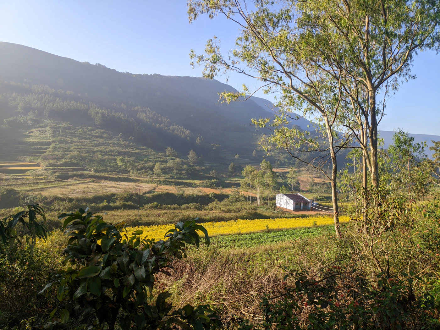 Araku Valley