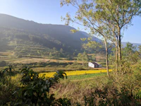 Best Pizza Places in Araku Valley: Where to Go for a Proper Slice