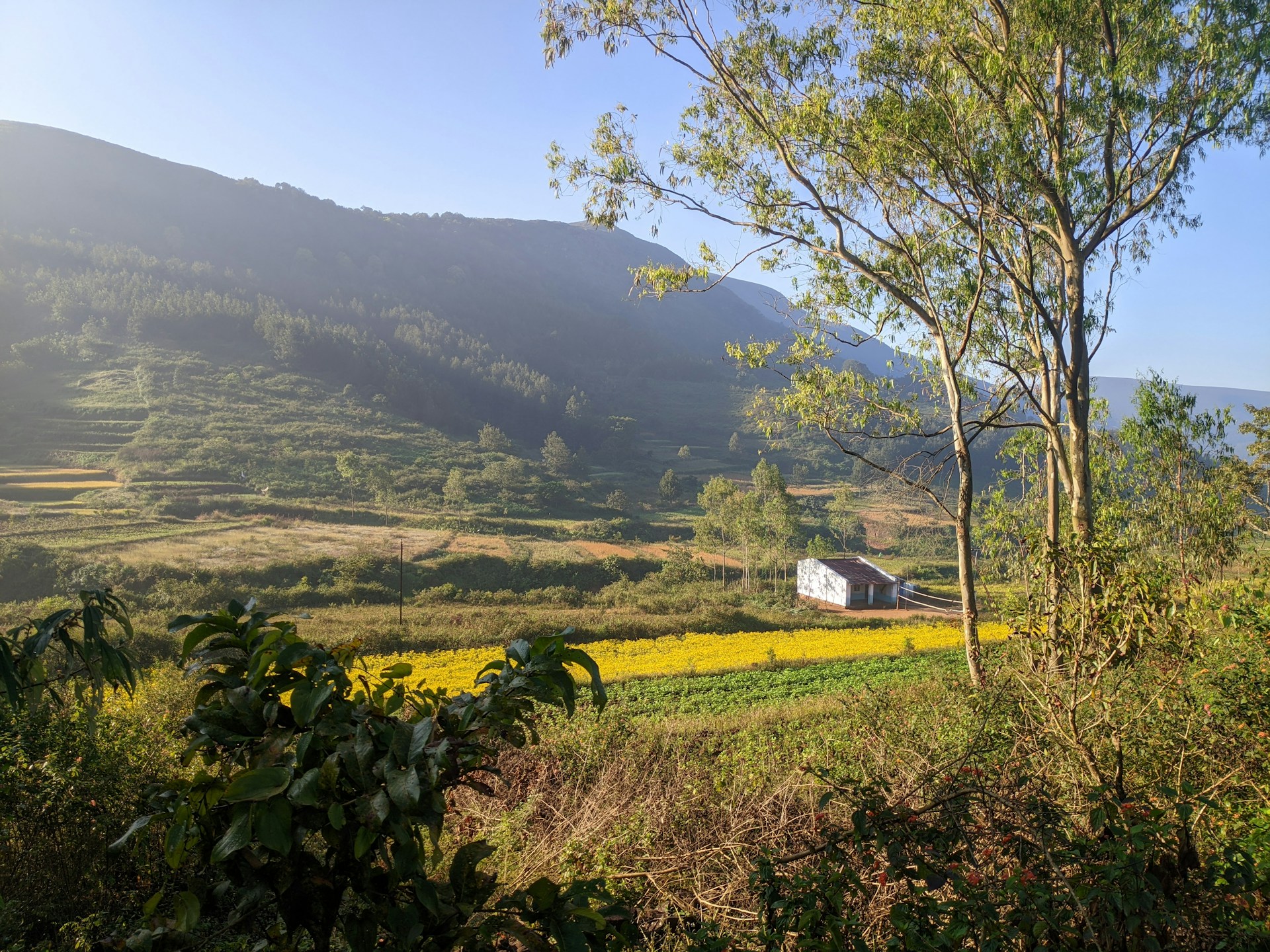a house in a valley