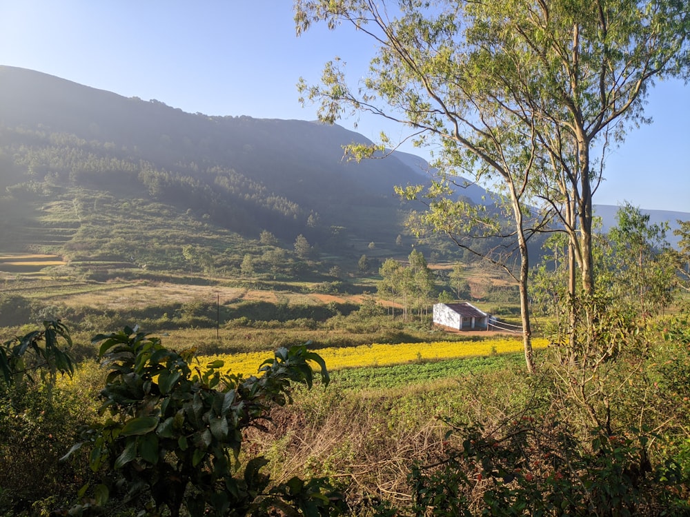 a house in a valley