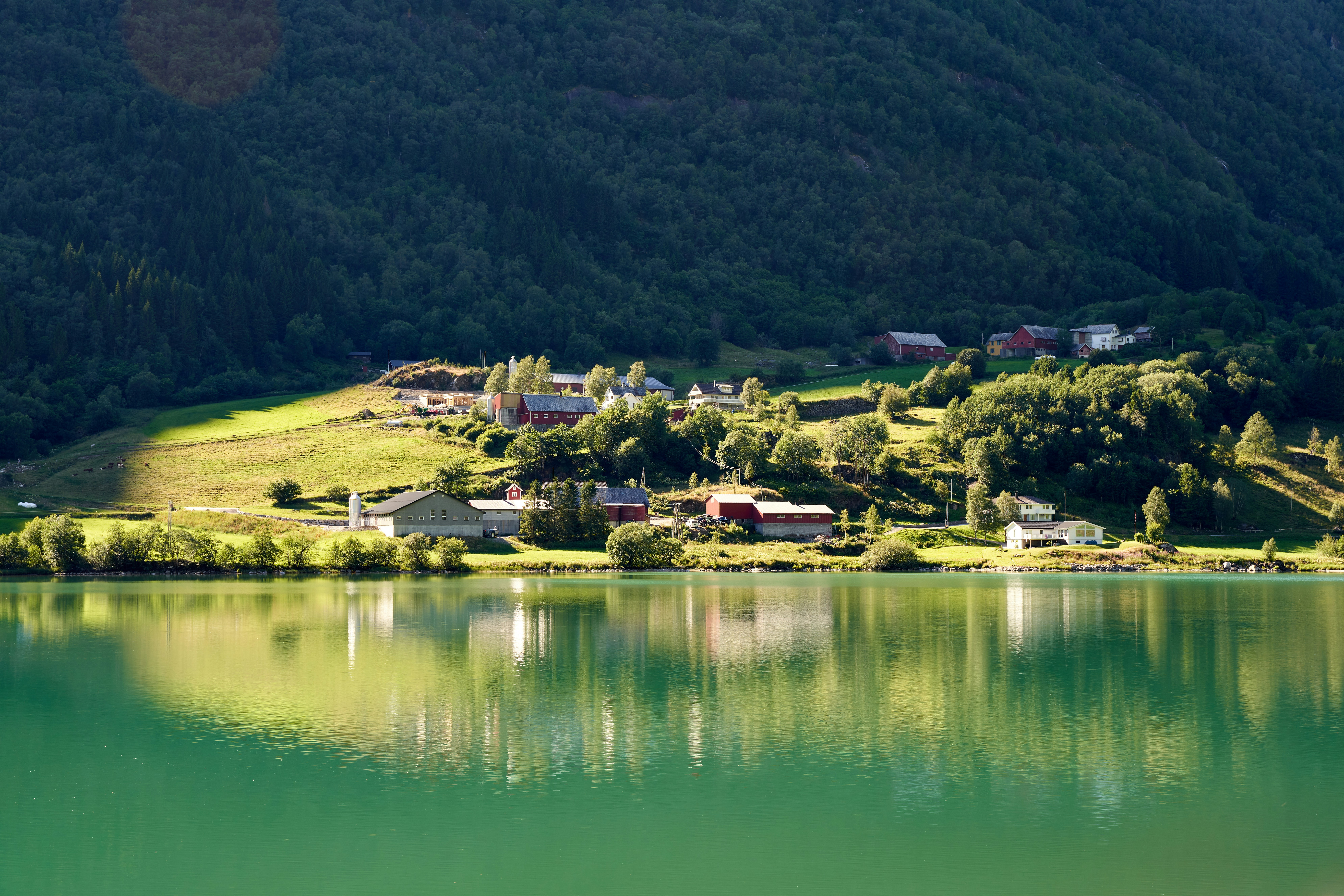 Photo by davotibarna