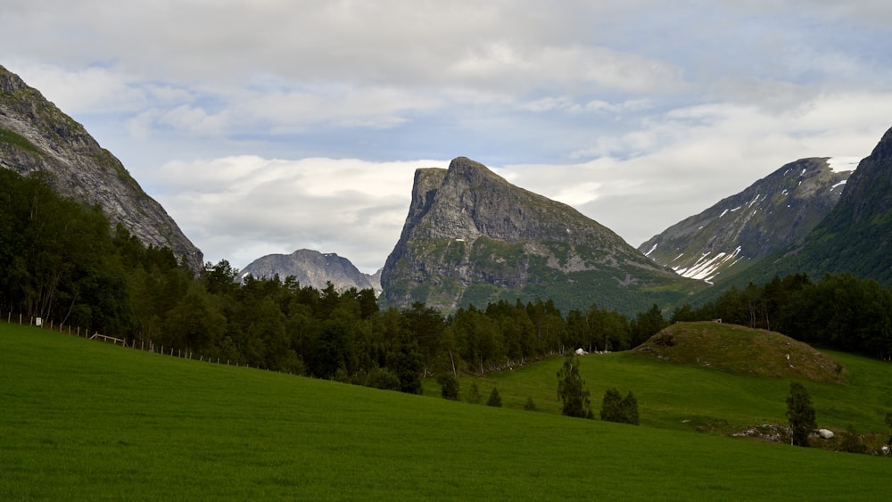a grassy valley with mountains in the background