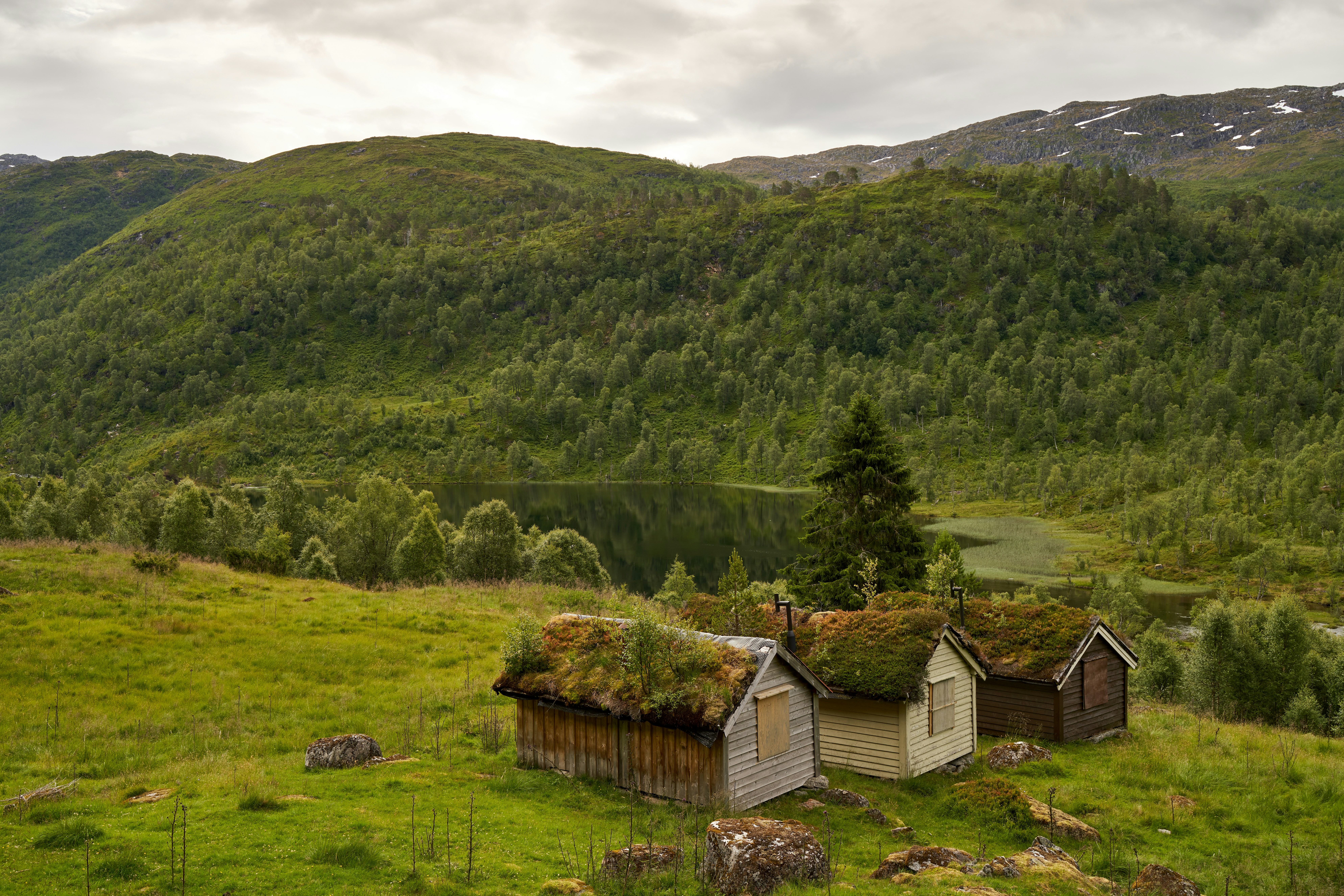 Photo by davotibarna