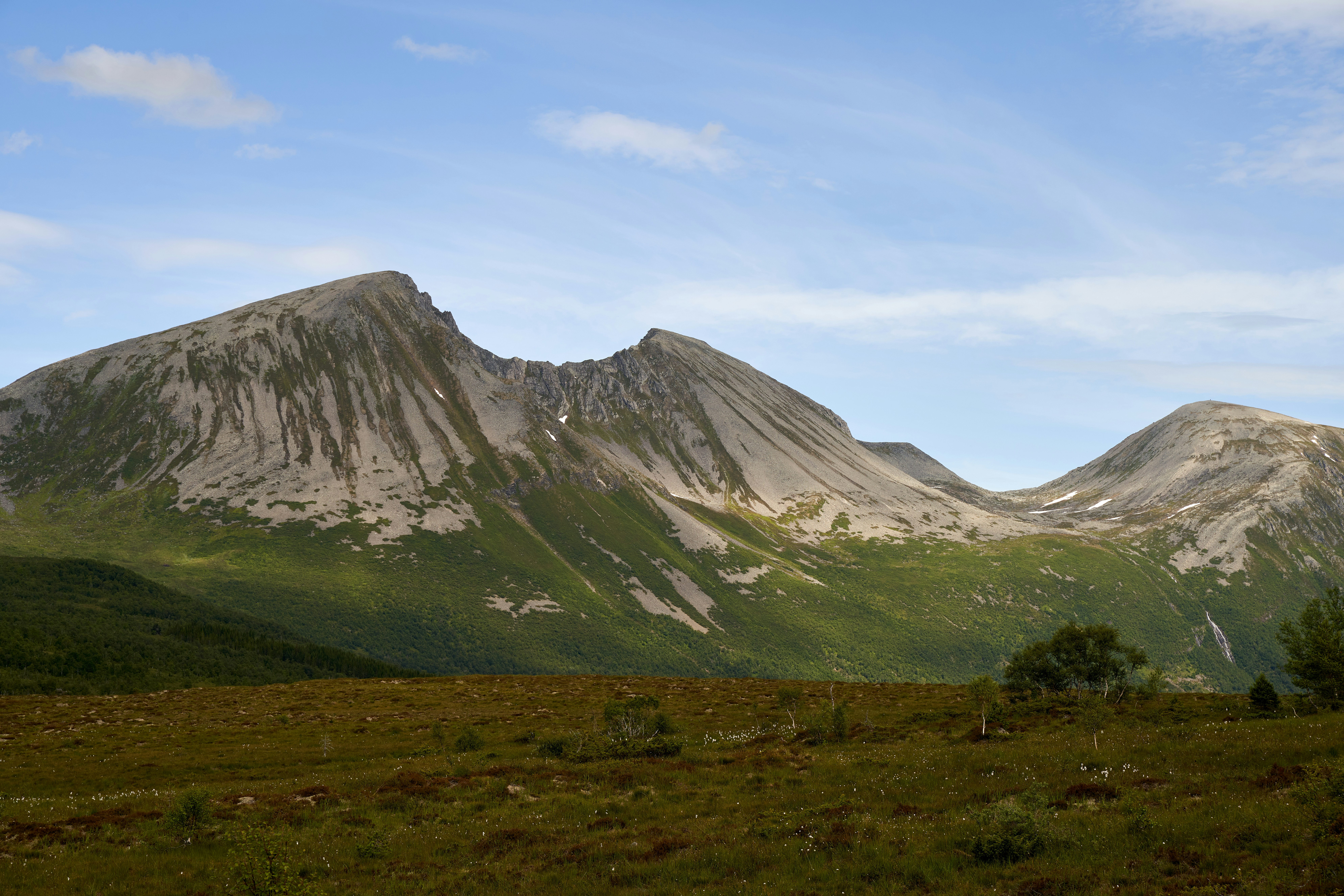 Grassy field with mountain