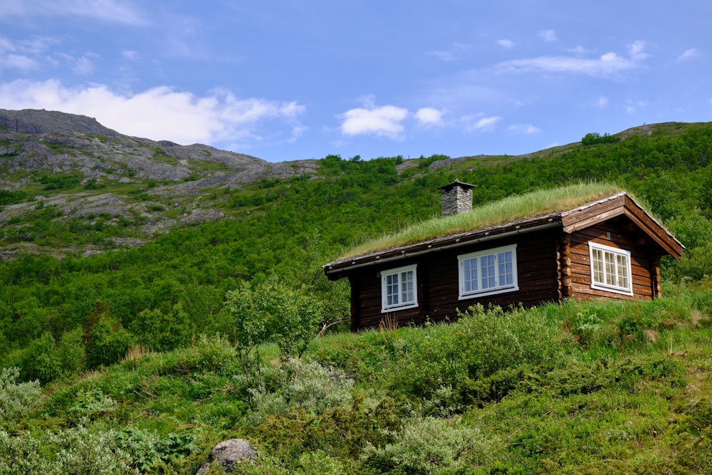 a house in a grassy area